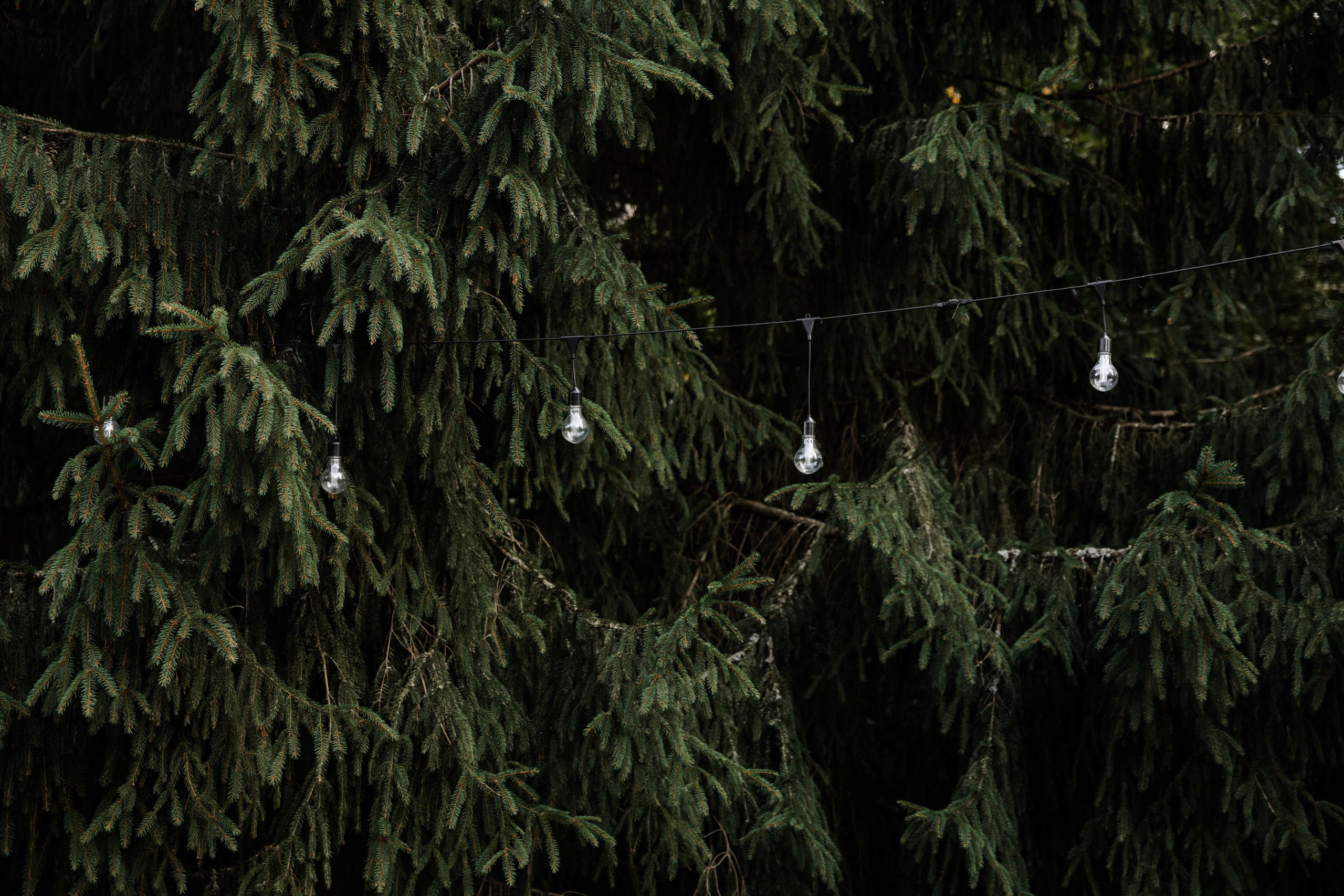 Я ВИЖУ ОКЕАН — ОН ЕСТЬ В ТВОИХ ГЛАЗАХ. Фотограф Наталия Бирюкова