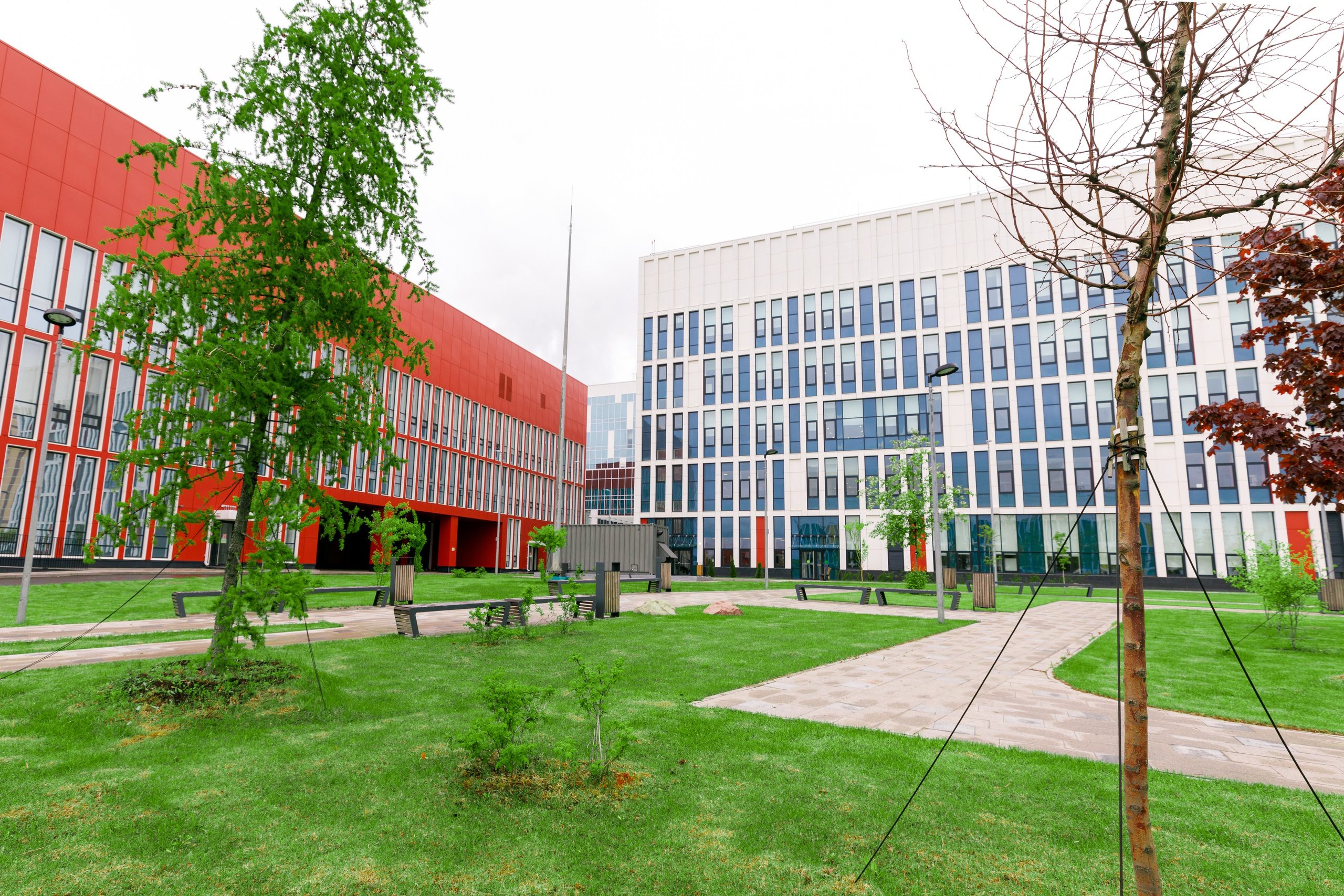 Родильный дом. Фотограф Ольга Эмбер