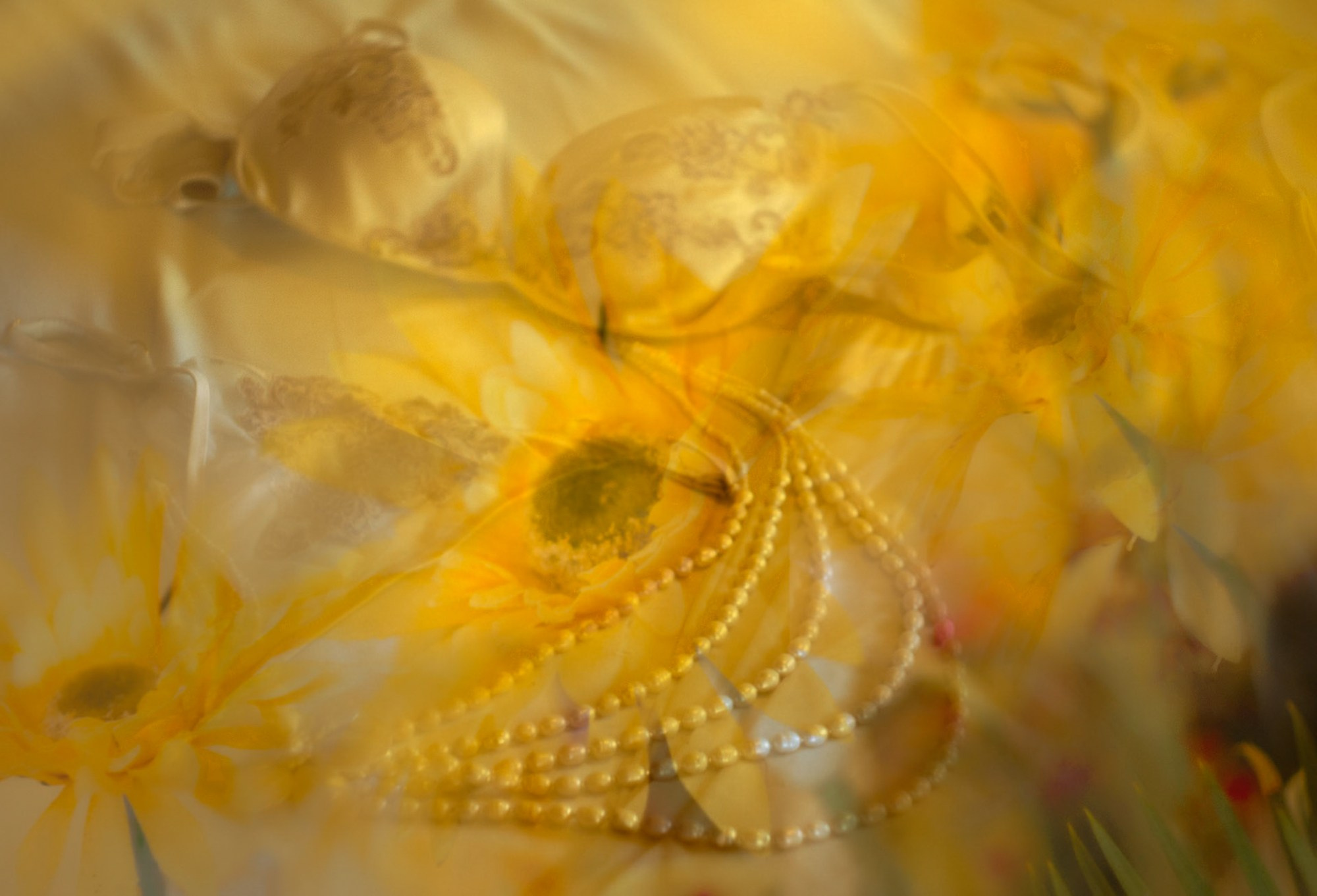 Фото и видео съемка мероприятия. Фото и видеосъемка