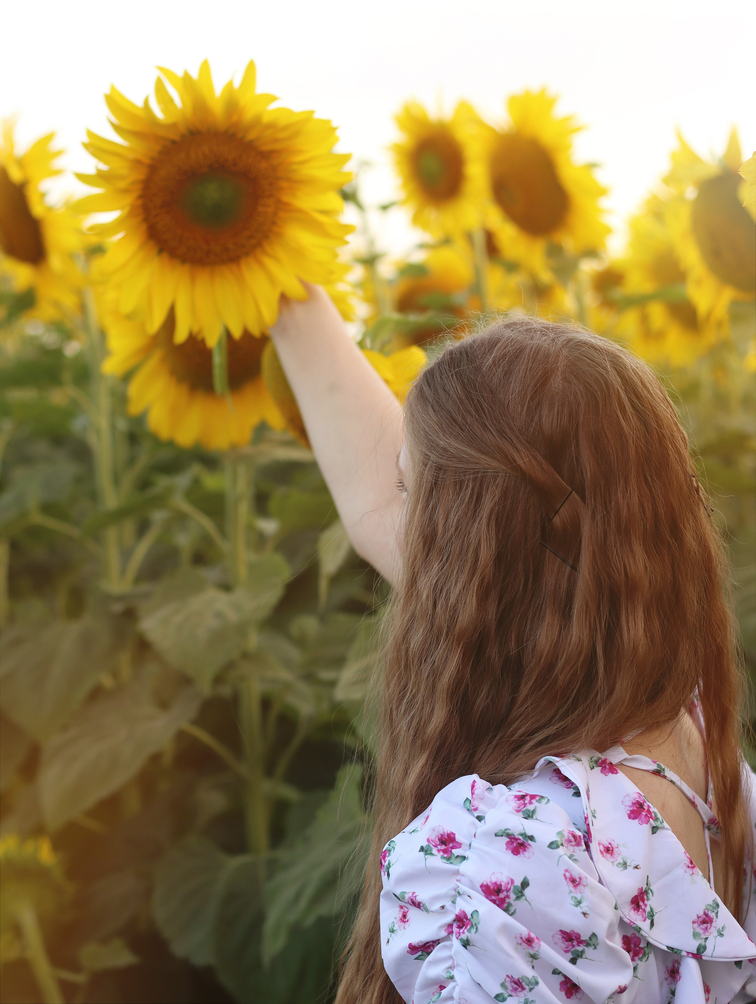 Анастасия. Фотограф в Курске Смирнов Евгений