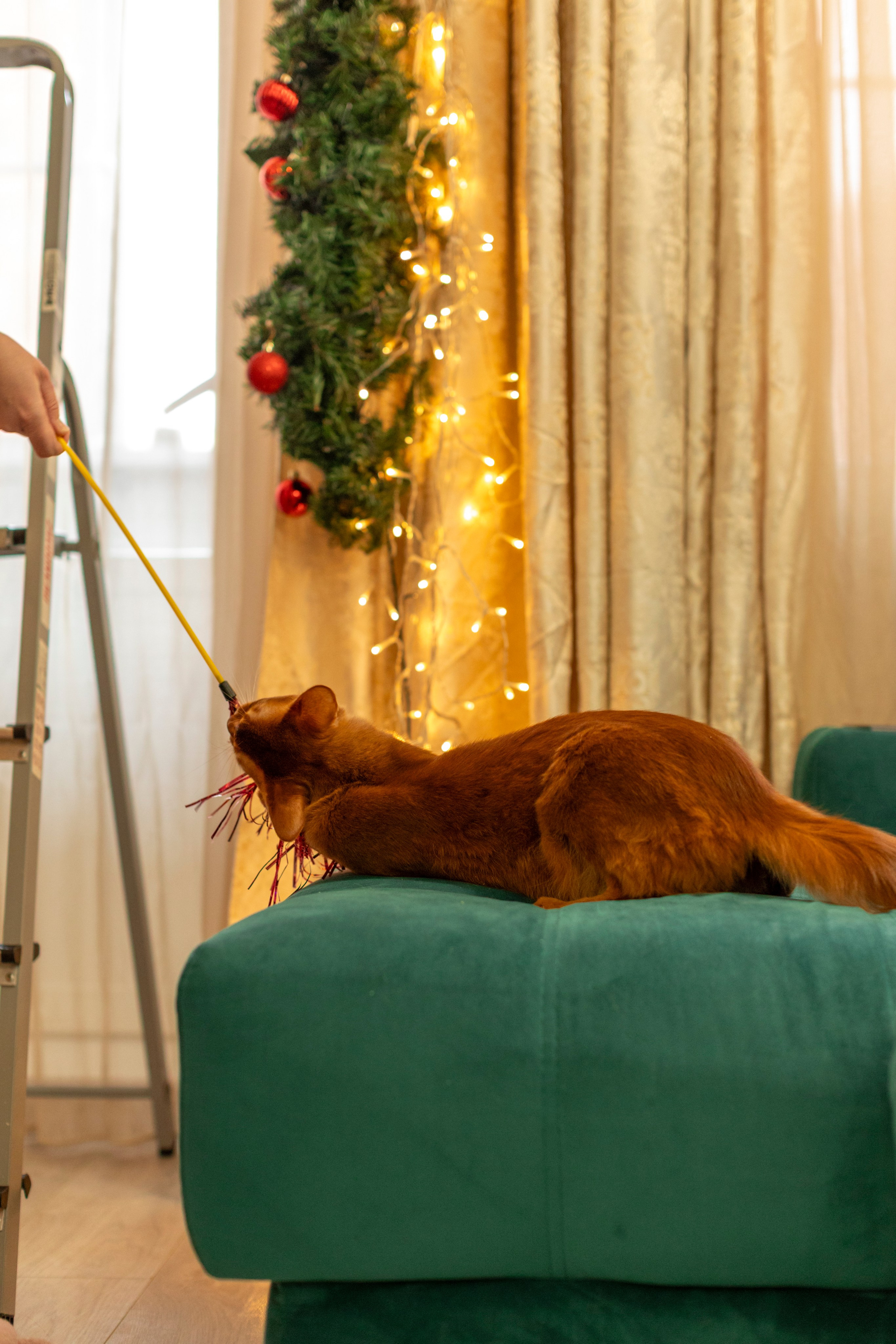 Сомали. Art my Pho