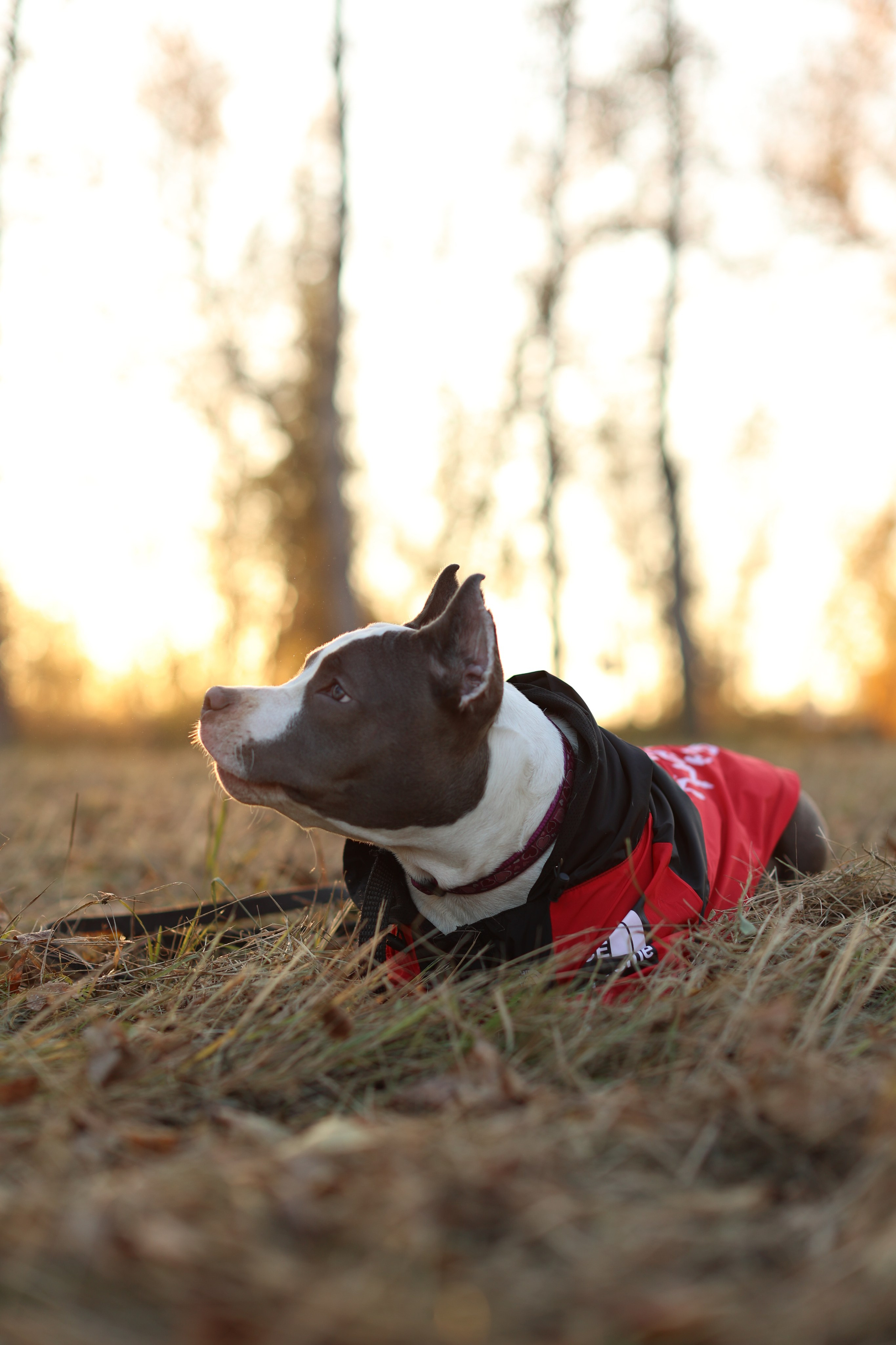 Осень. Art my Pho