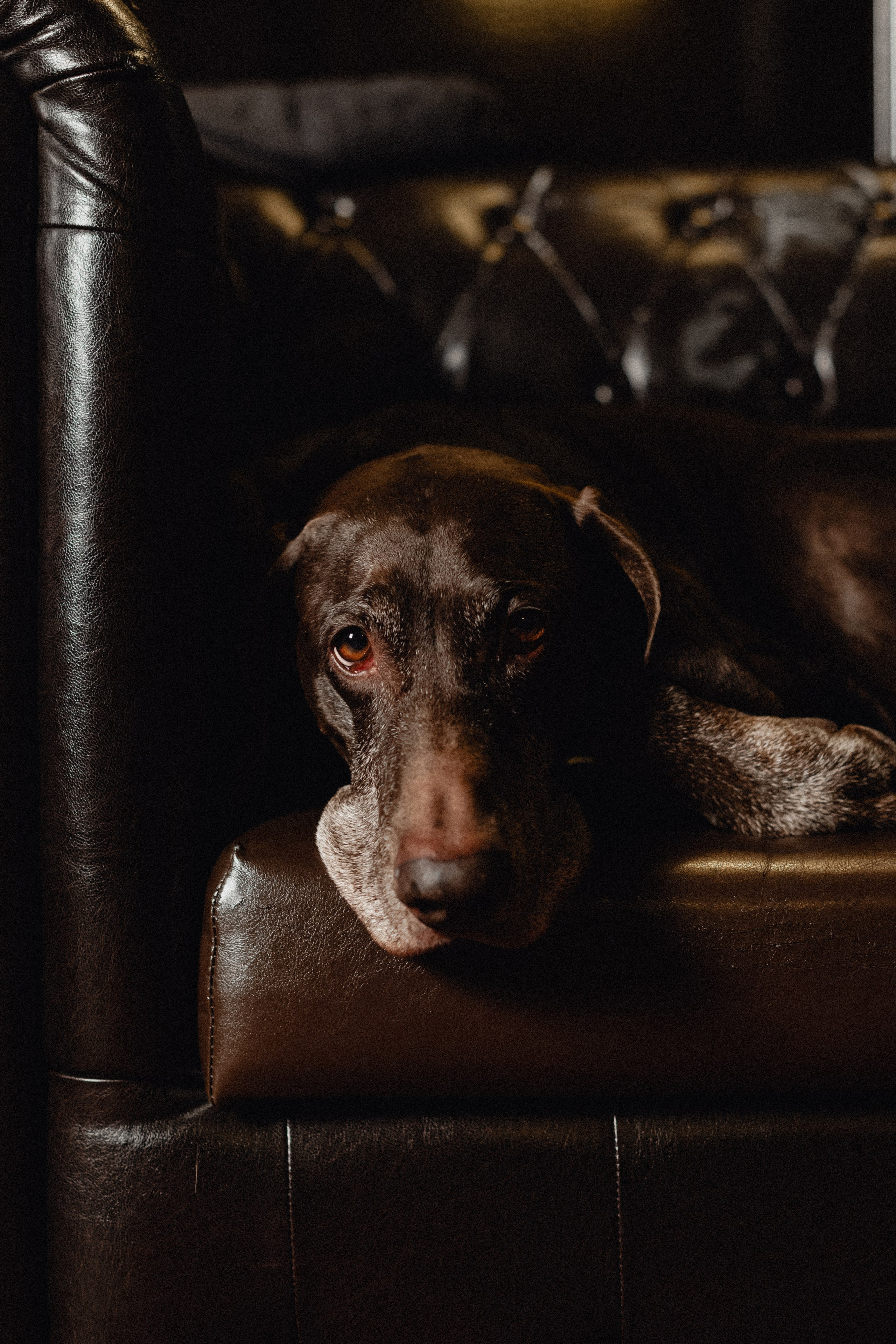 Чисто Английская История. Фотограф в Краснодаре и Краснодарском Крае