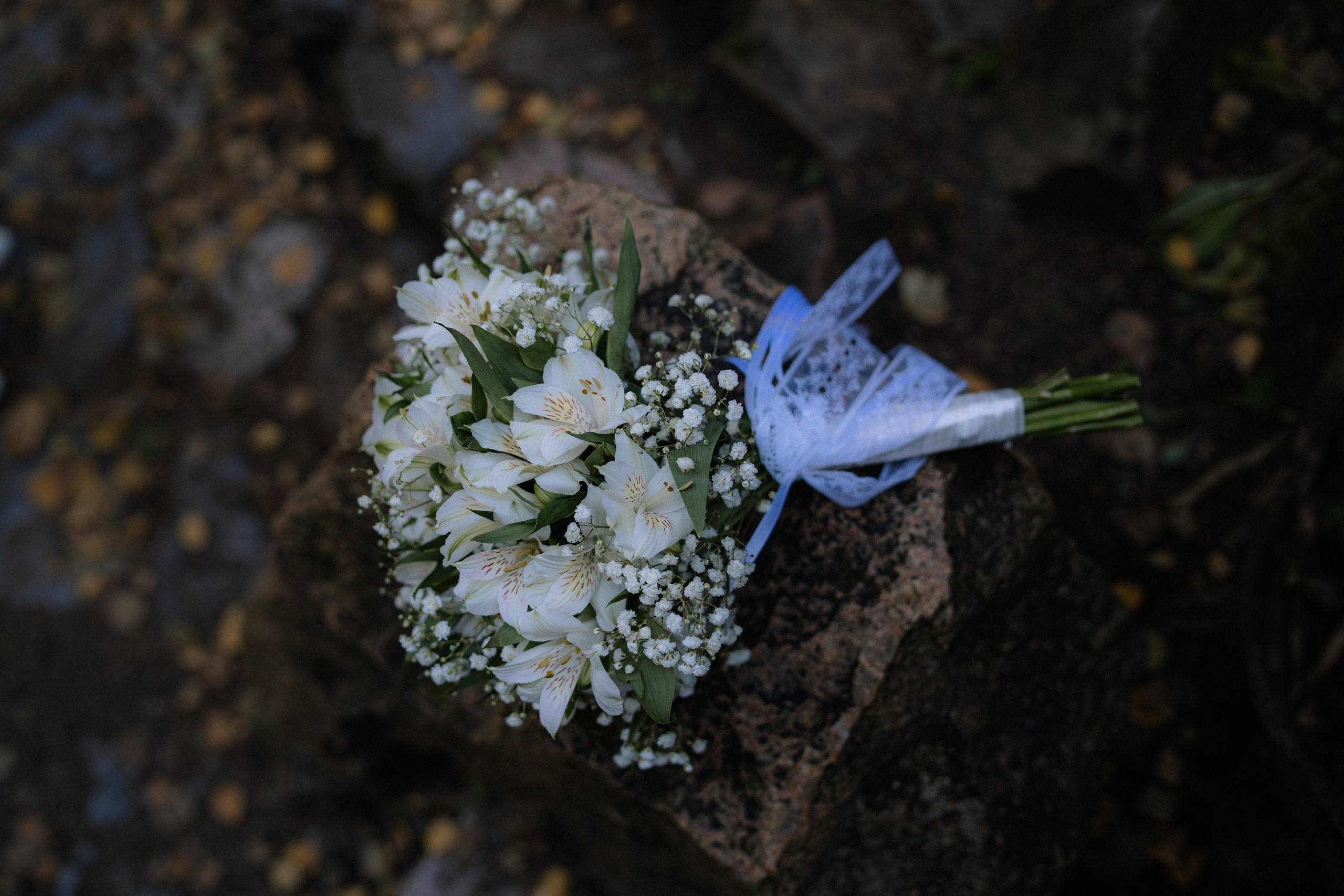 Свадебный фотограф в Барнауле 