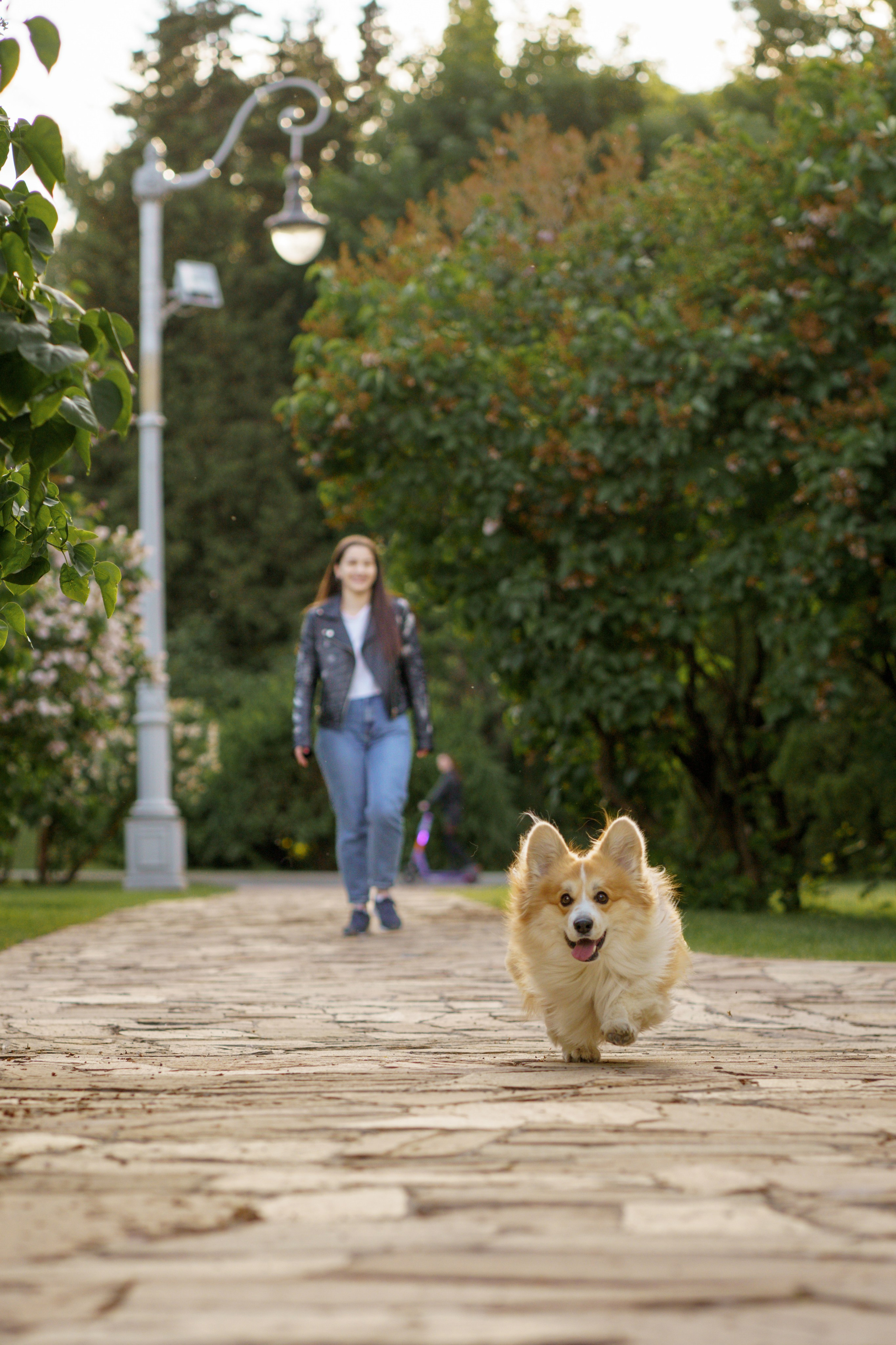 Катя, Арсений и Пух. Свадебный фотограф в Москве Анна Полушина