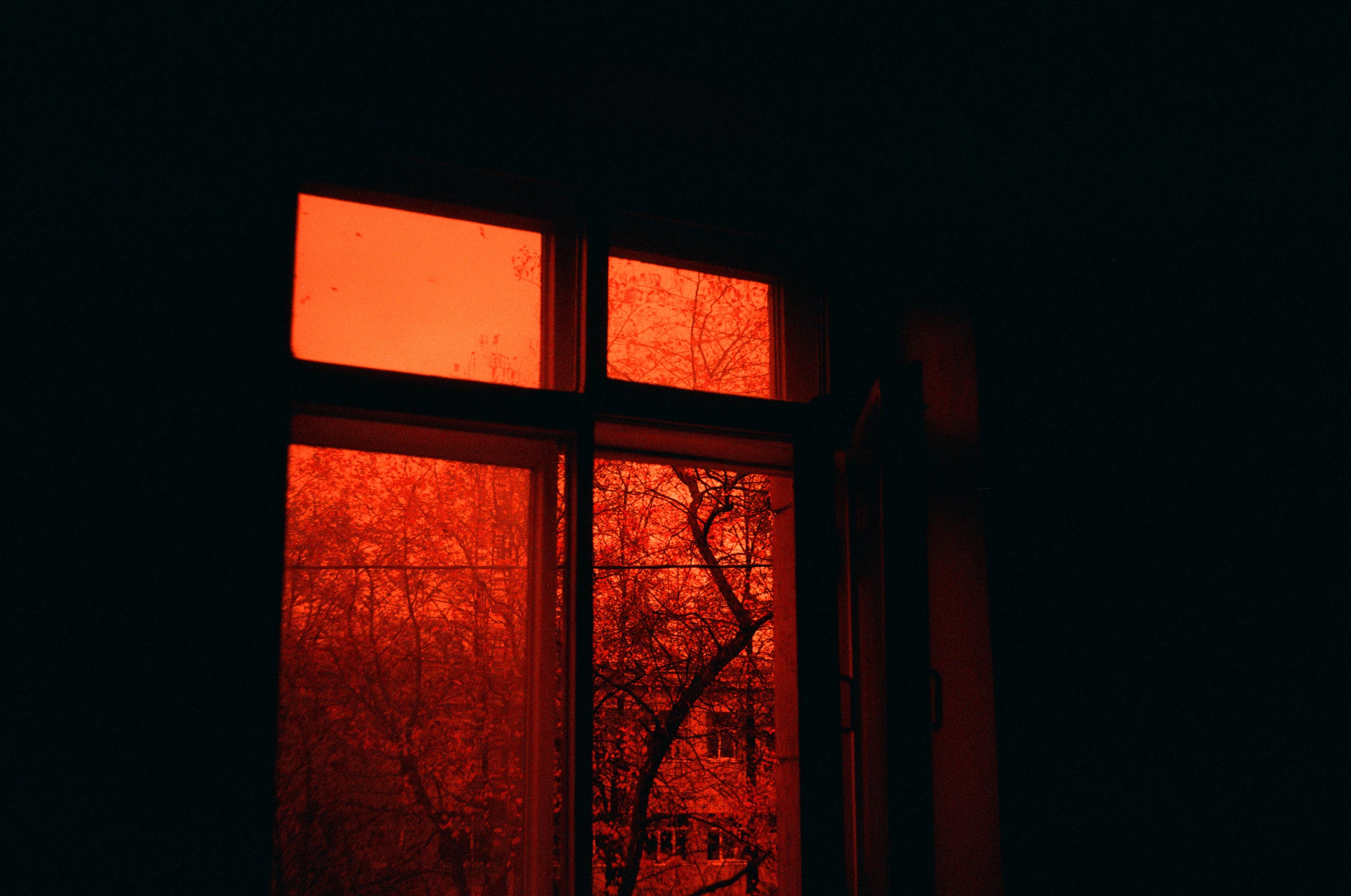 Redscale. Варвара Цымбал