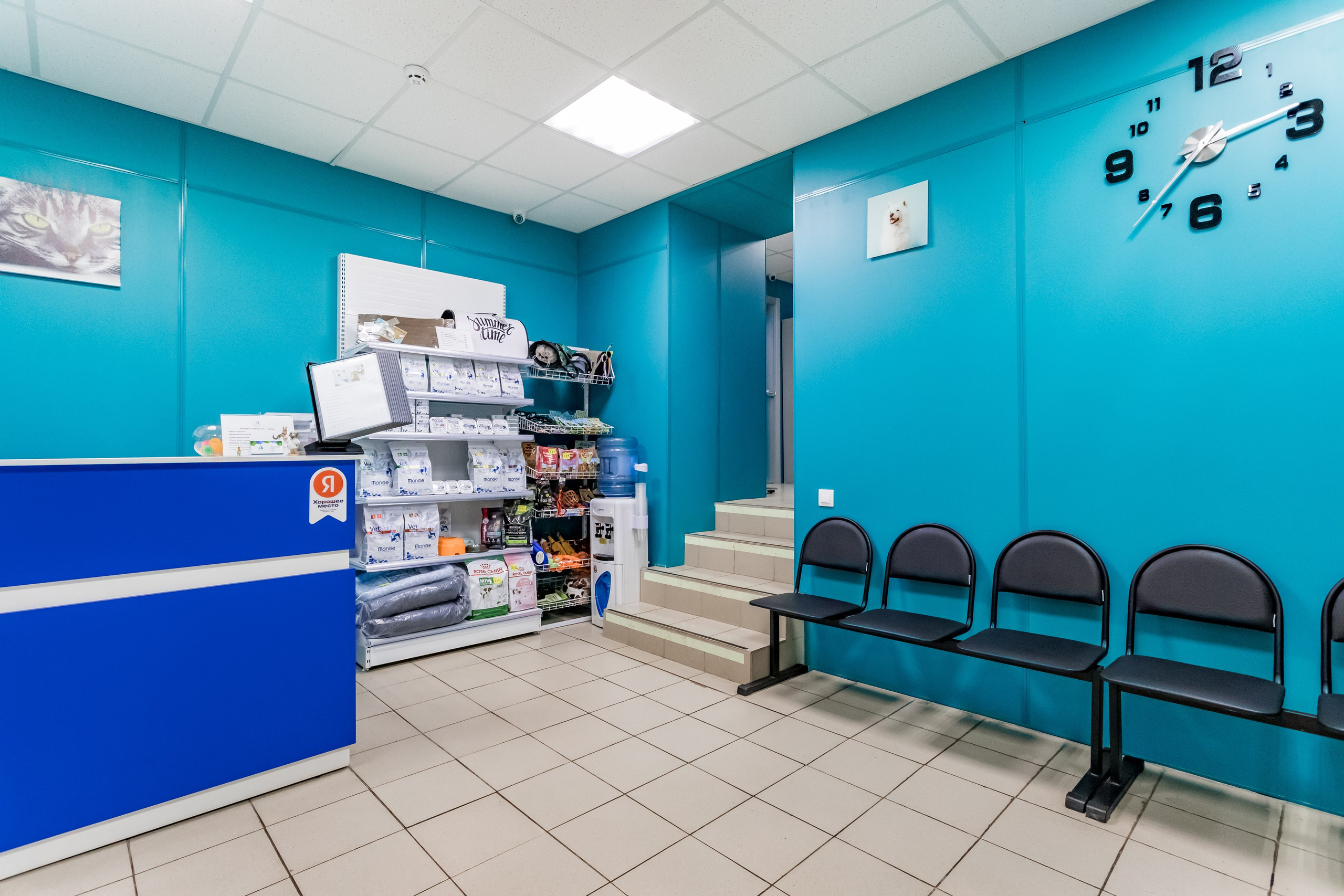 Интерьерная съемка для ветеринарной клиники Прив-вет. Интерьеры, Контент, Портреты | Фотограф в Москве Дани Терно