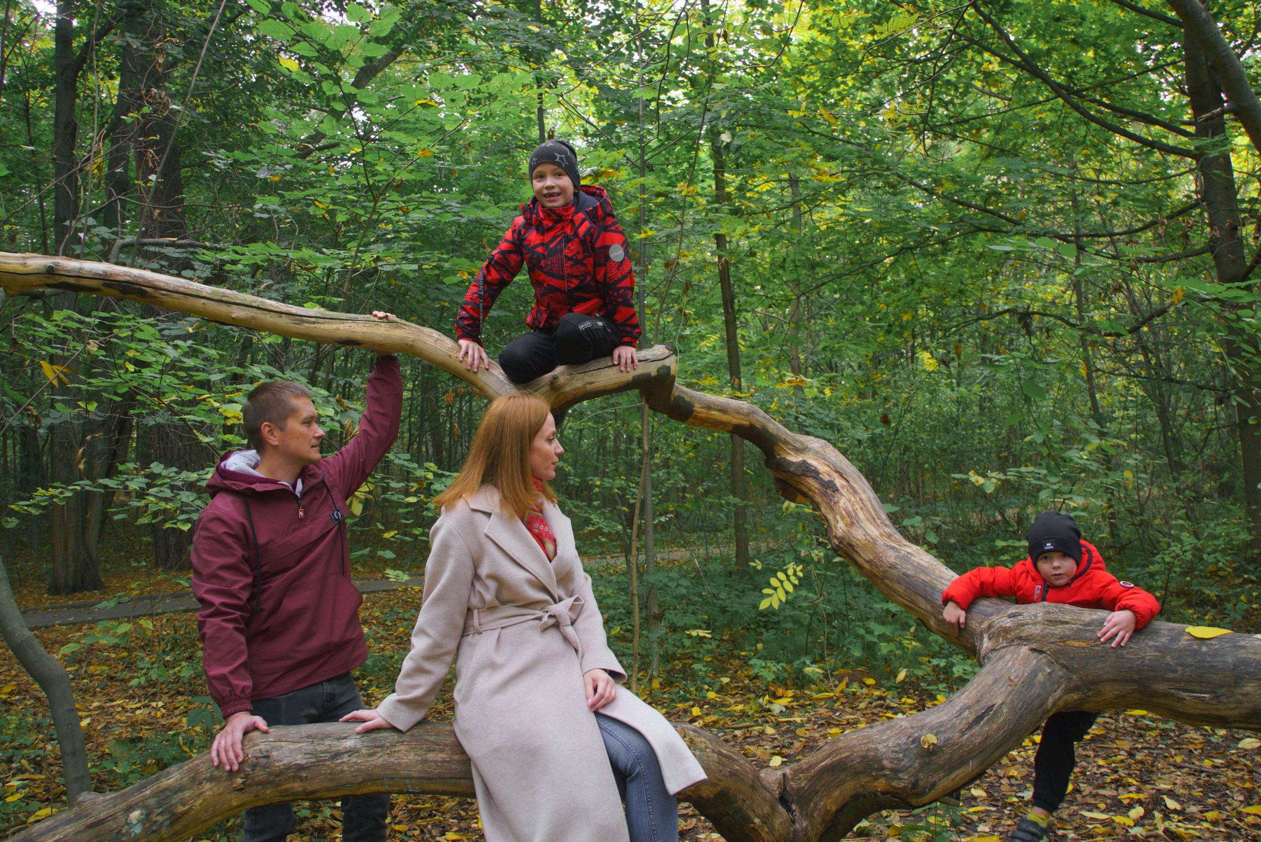 Золотая осень. Видеограф Осинина Татьяна — видеосъемка в Москве