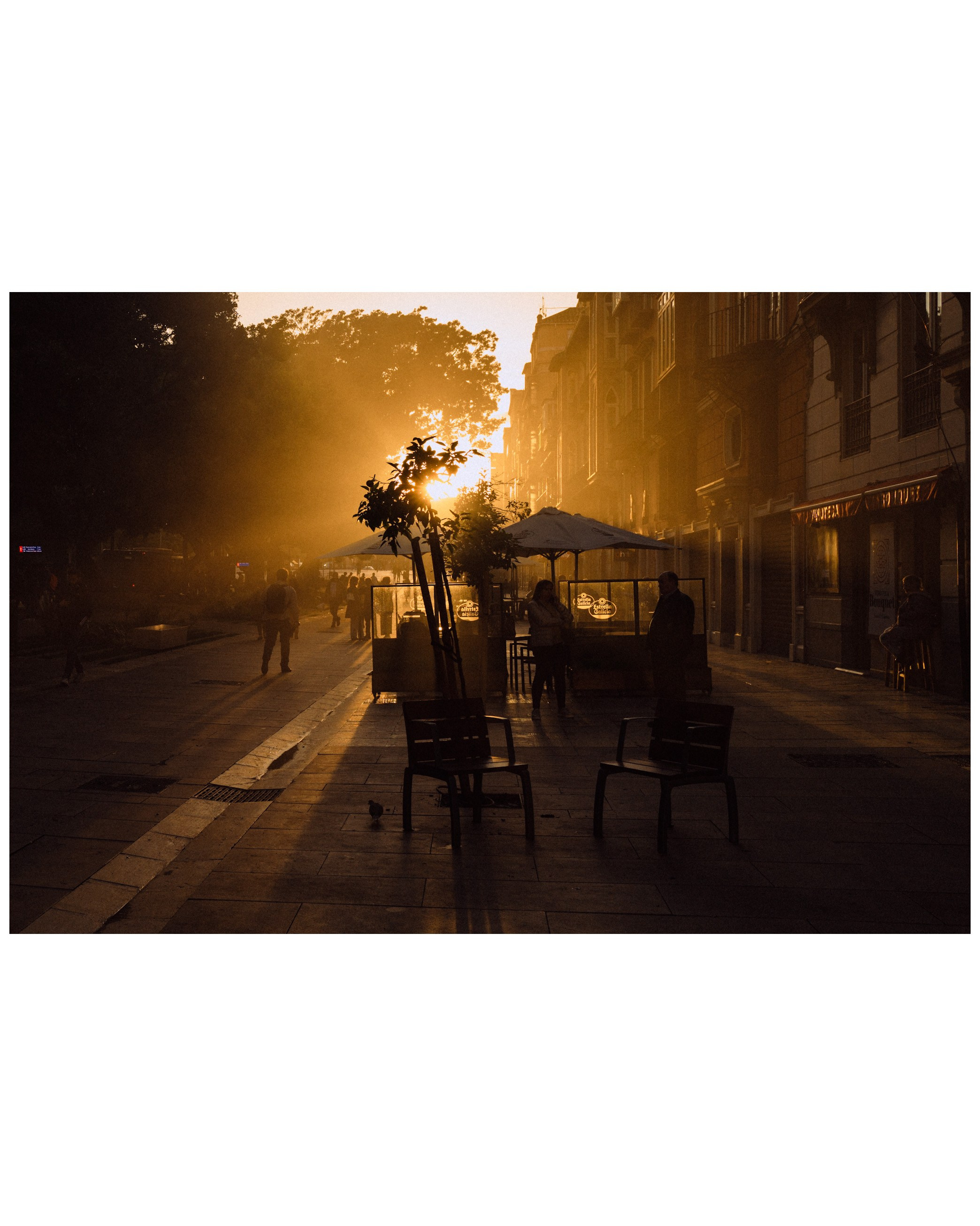 Street. Если ты на Земле — звони