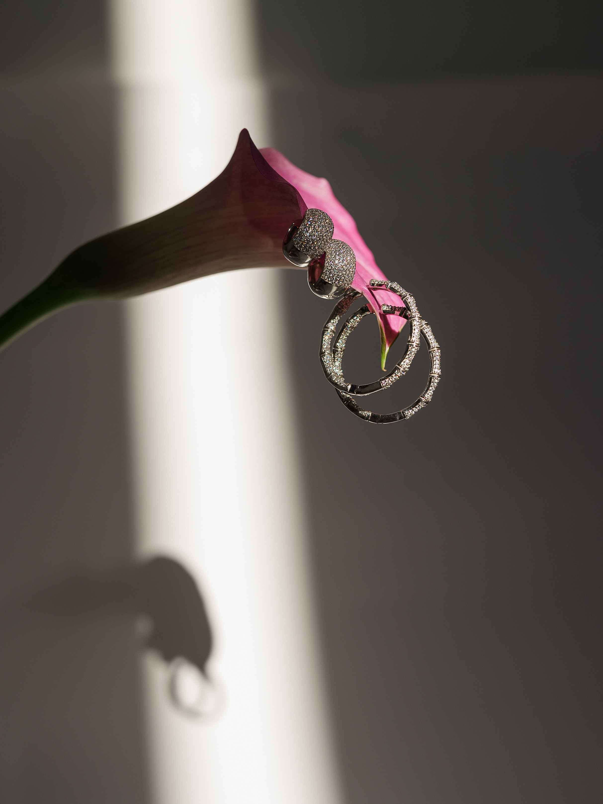 Предметная съемка ювелирных изделий для «Roberto bravo». Фотограф Олег Сотник