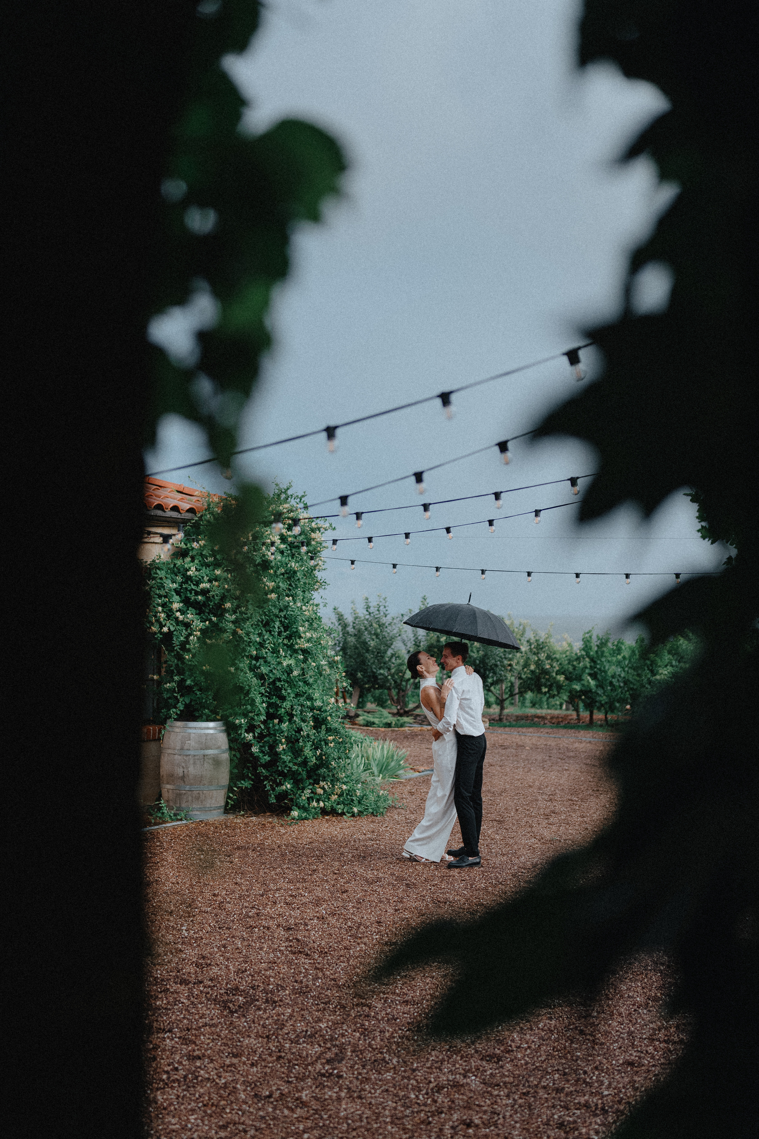 Свадебная прогулка на винодельне. Фотограф Олег Сотник