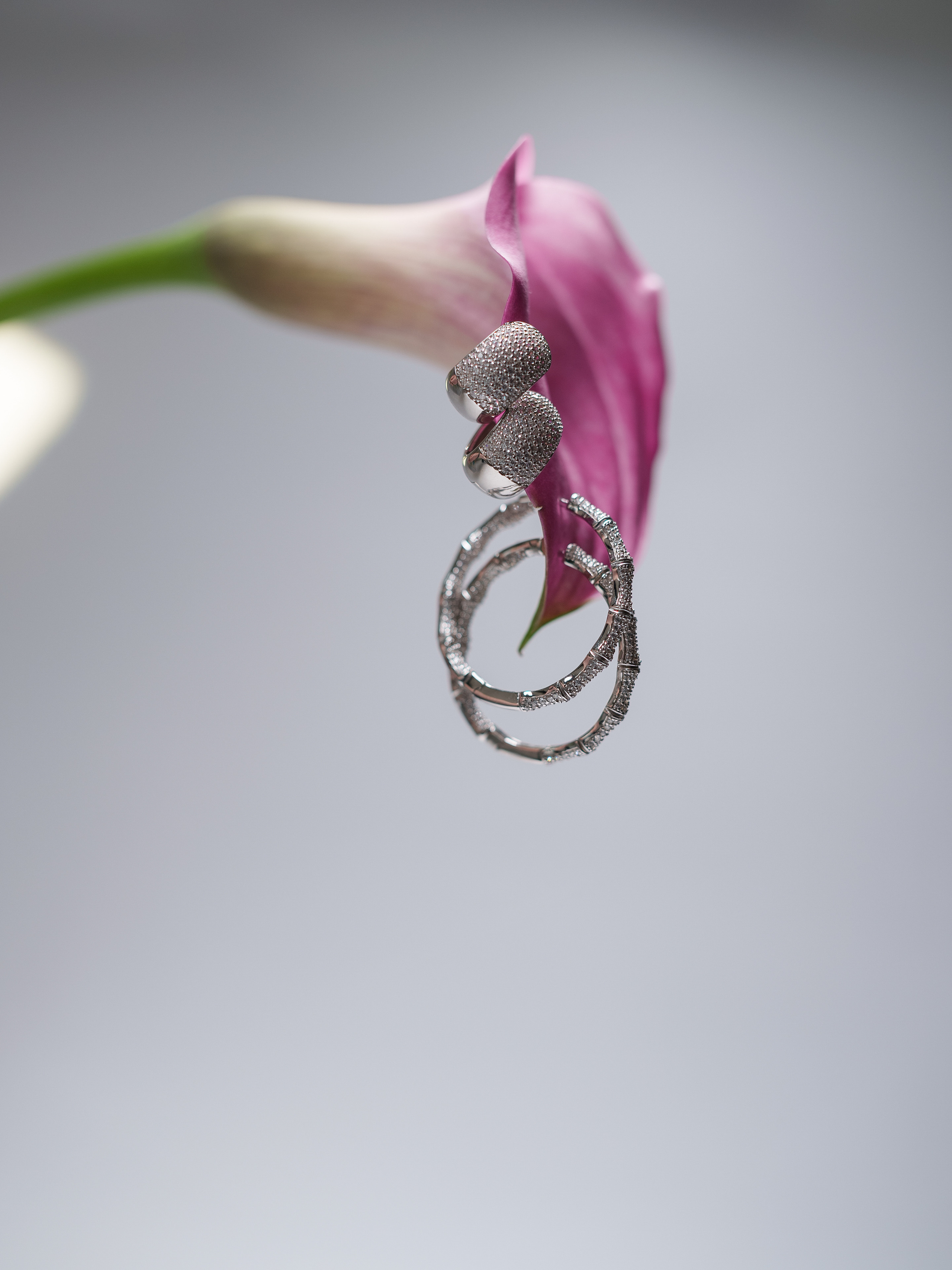 Предметная съемка ювелирных изделий для «Roberto bravo». Фотограф Олег Сотник