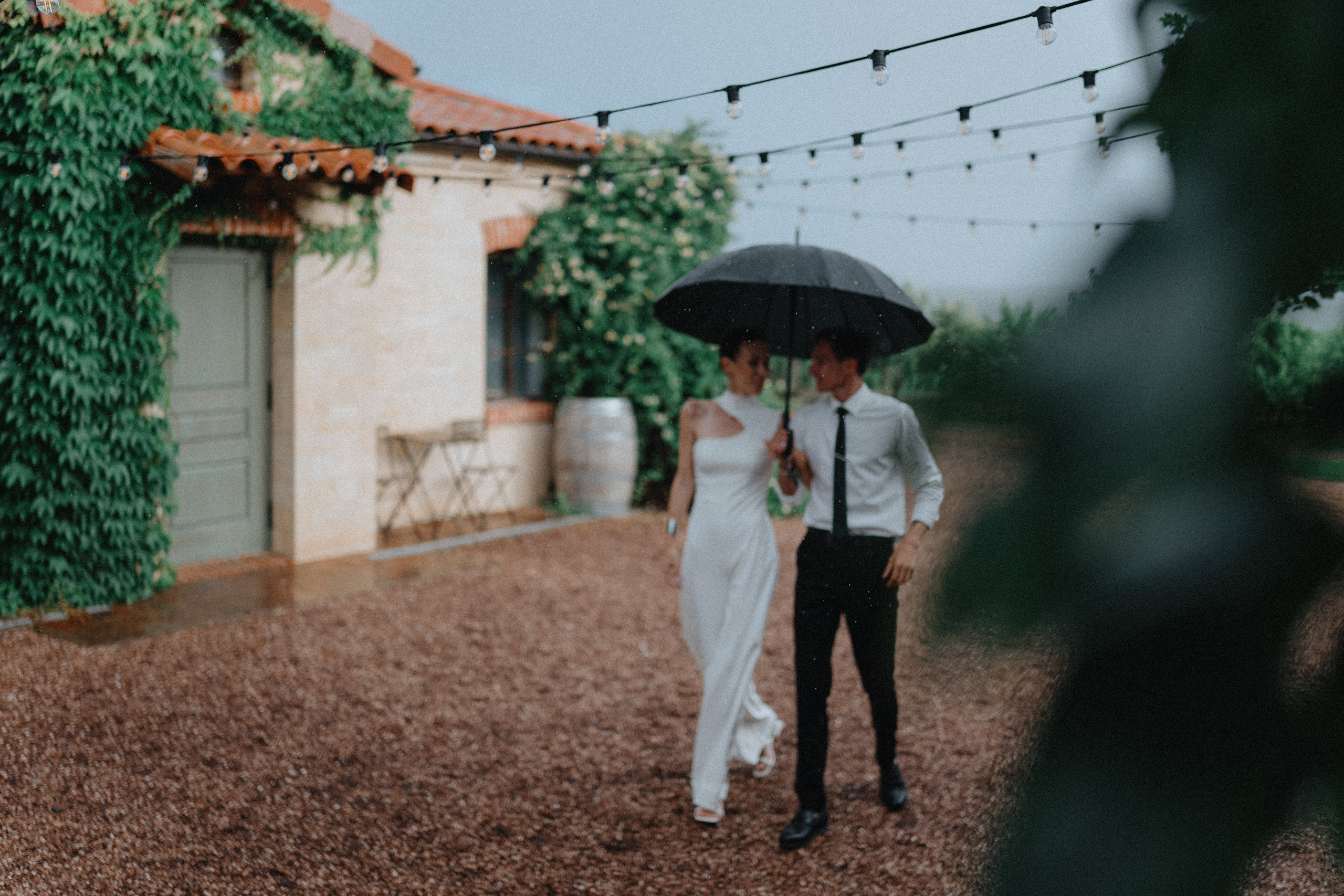 Свадебная прогулка на винодельне. Фотограф Олег Сотник