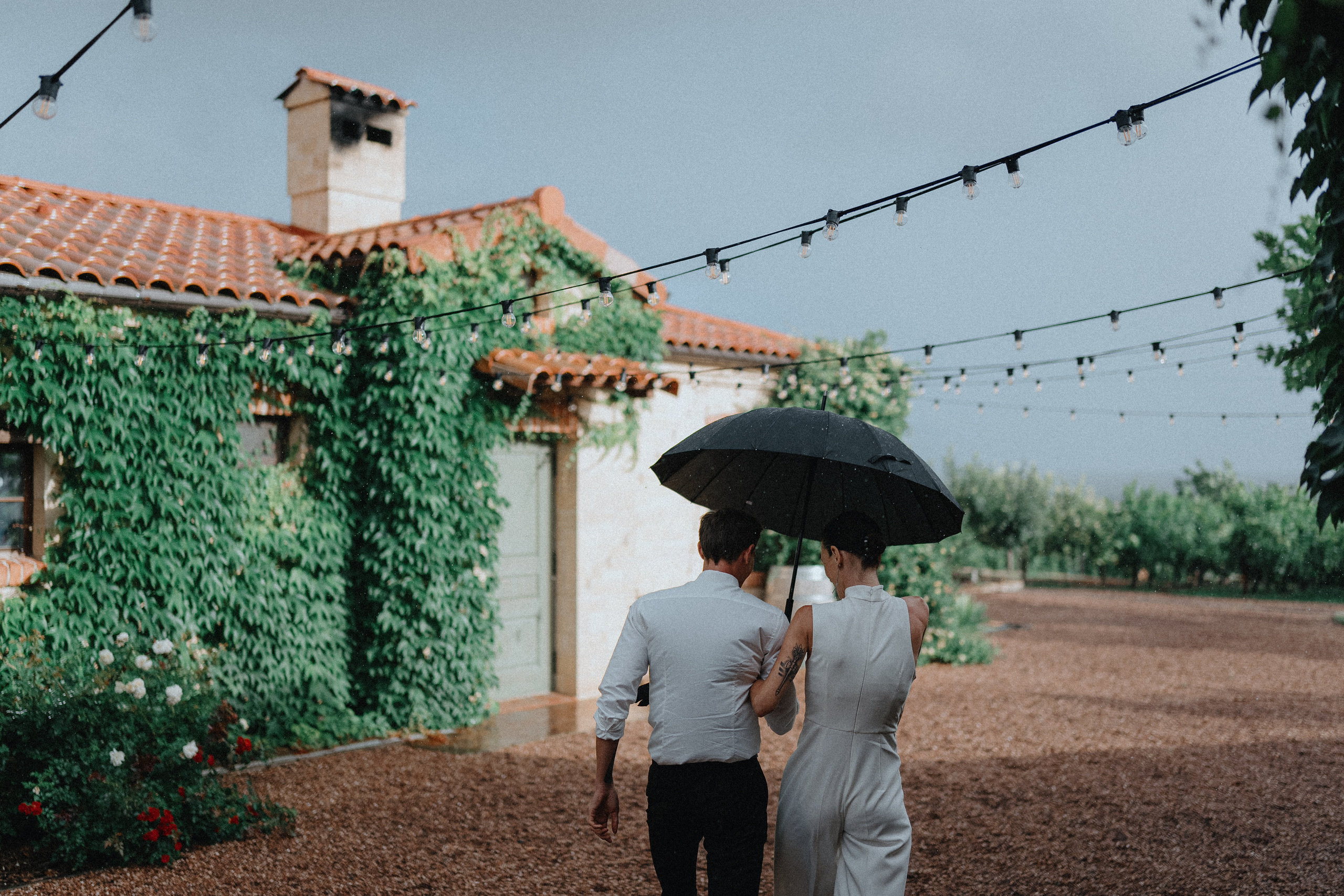 Свадебная прогулка на винодельне. Фотограф Олег Сотник