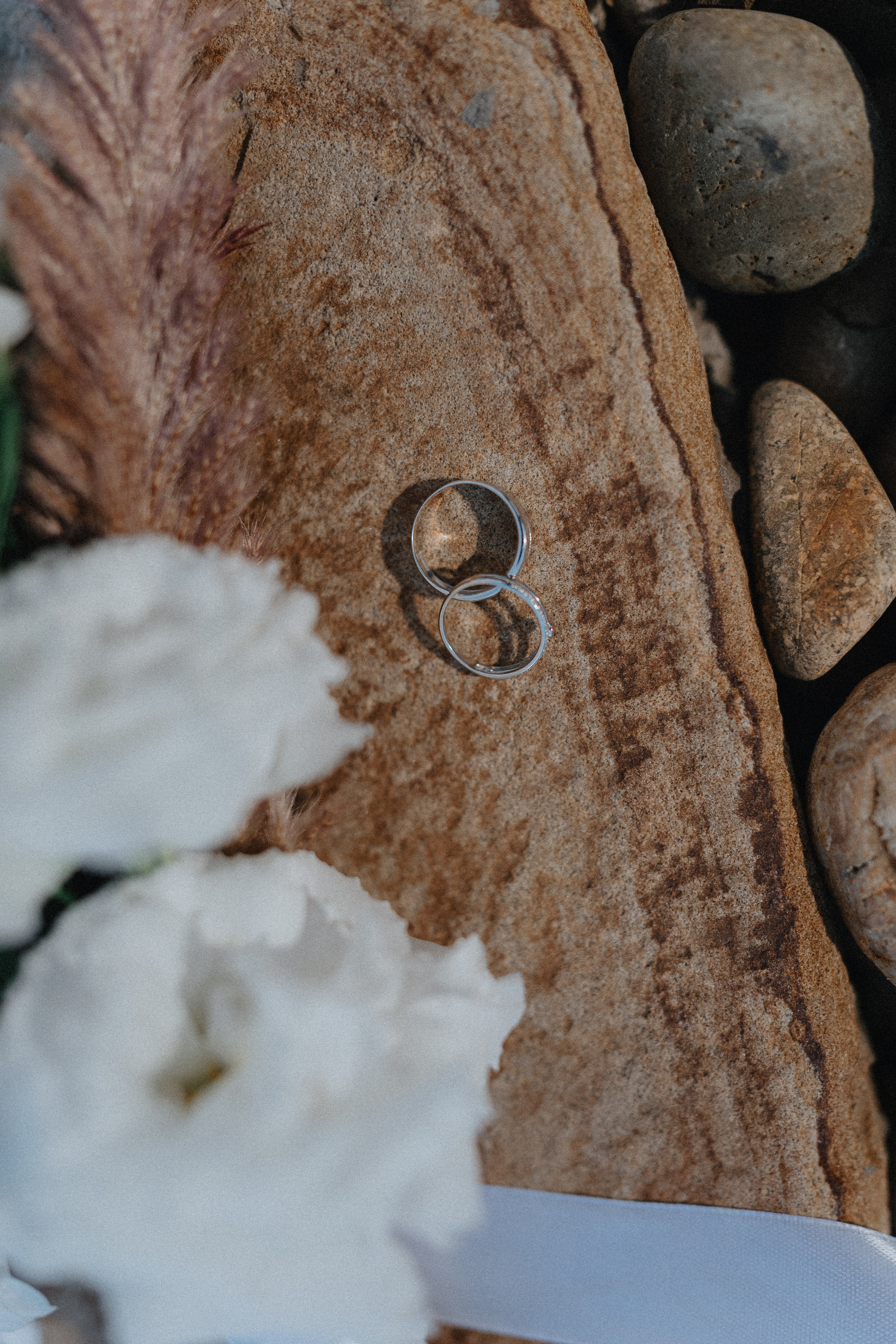 Свадебная прогулка на винодельне. Фотограф Олег Сотник