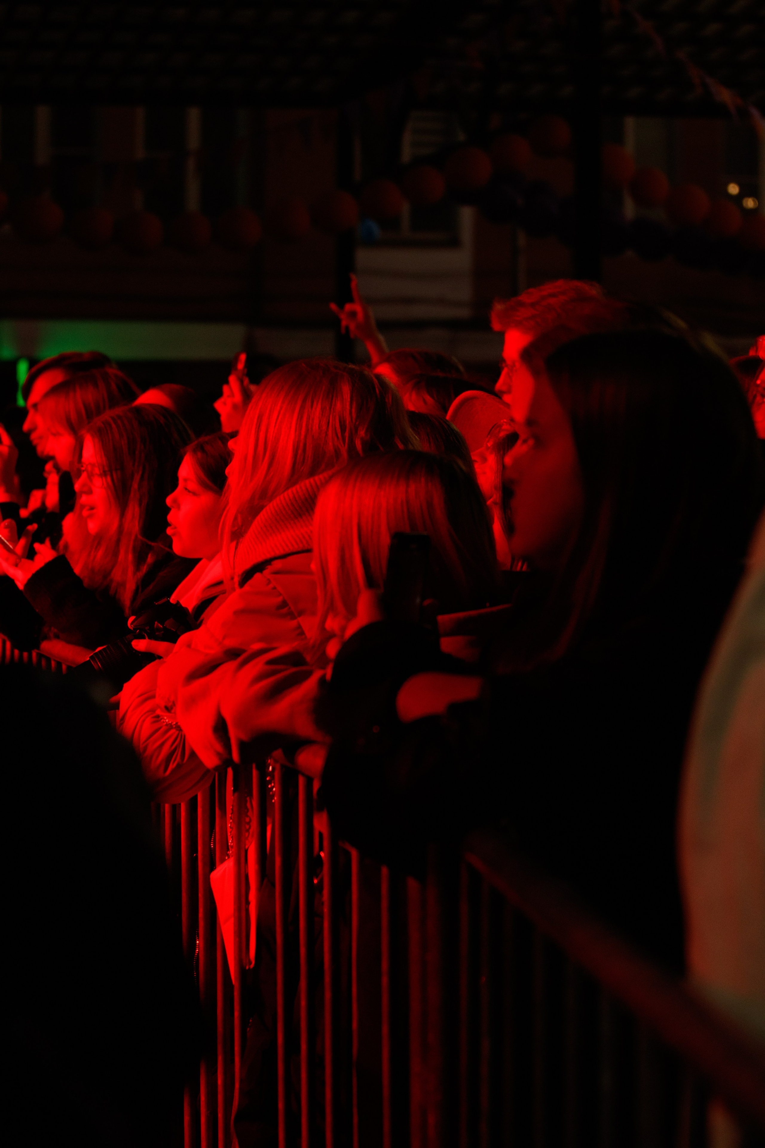 MIRELE. Концертный фотограф