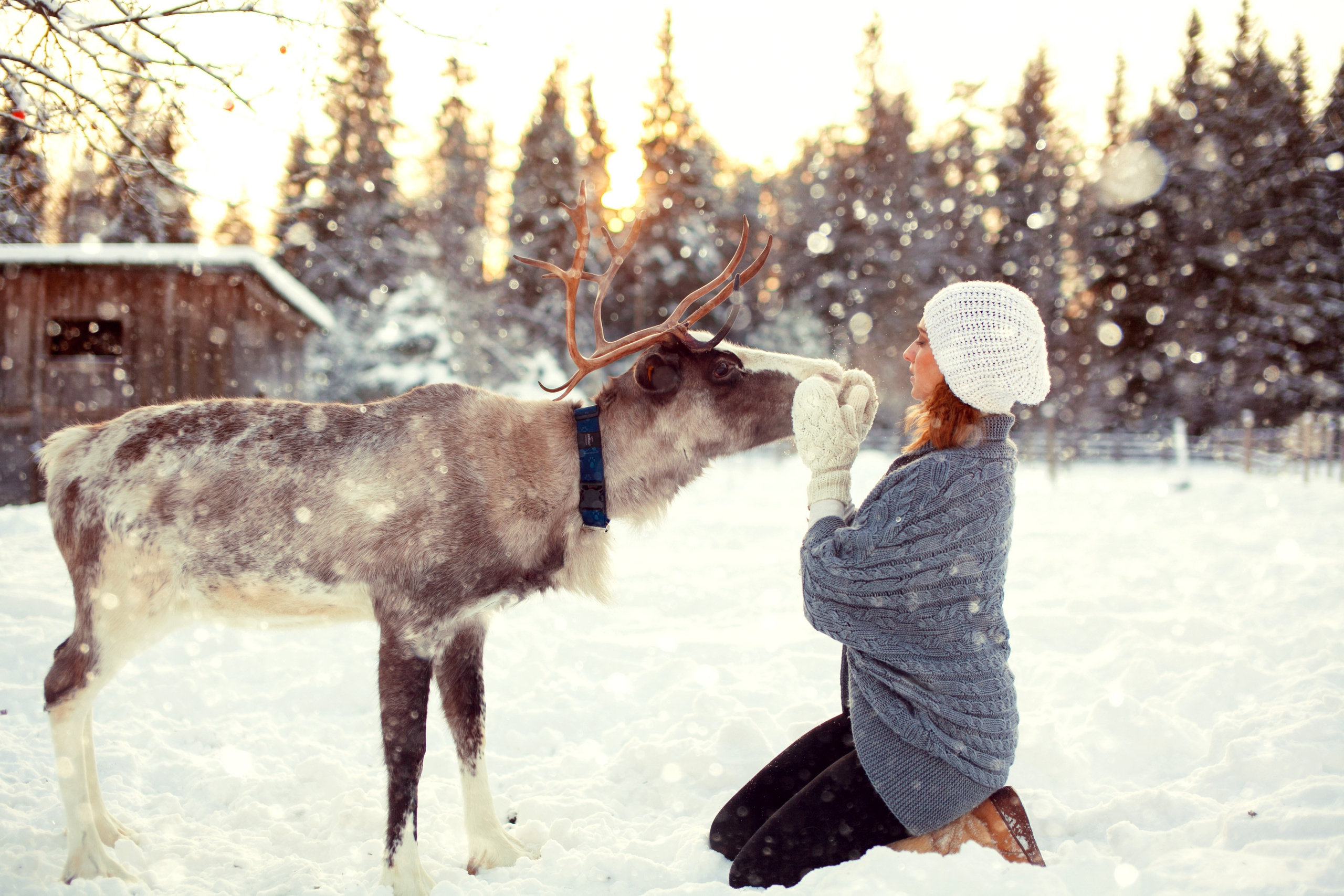 ЖЕНСКИЕ. NUTA ART - photo-video creator