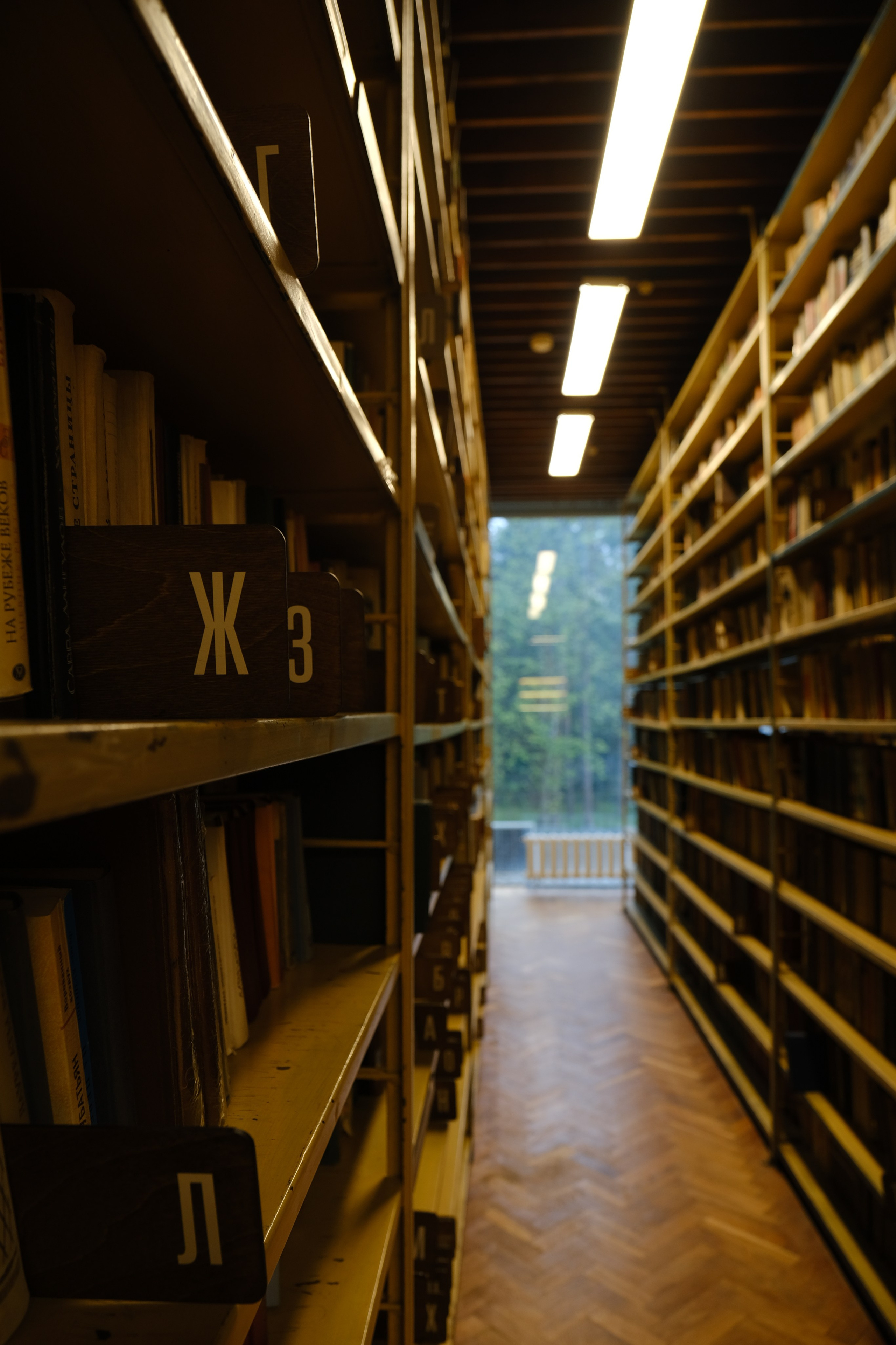 Rostelecom x Dedu Переделкино. Фотограф Москва, Екатерина Коломина-Процкая