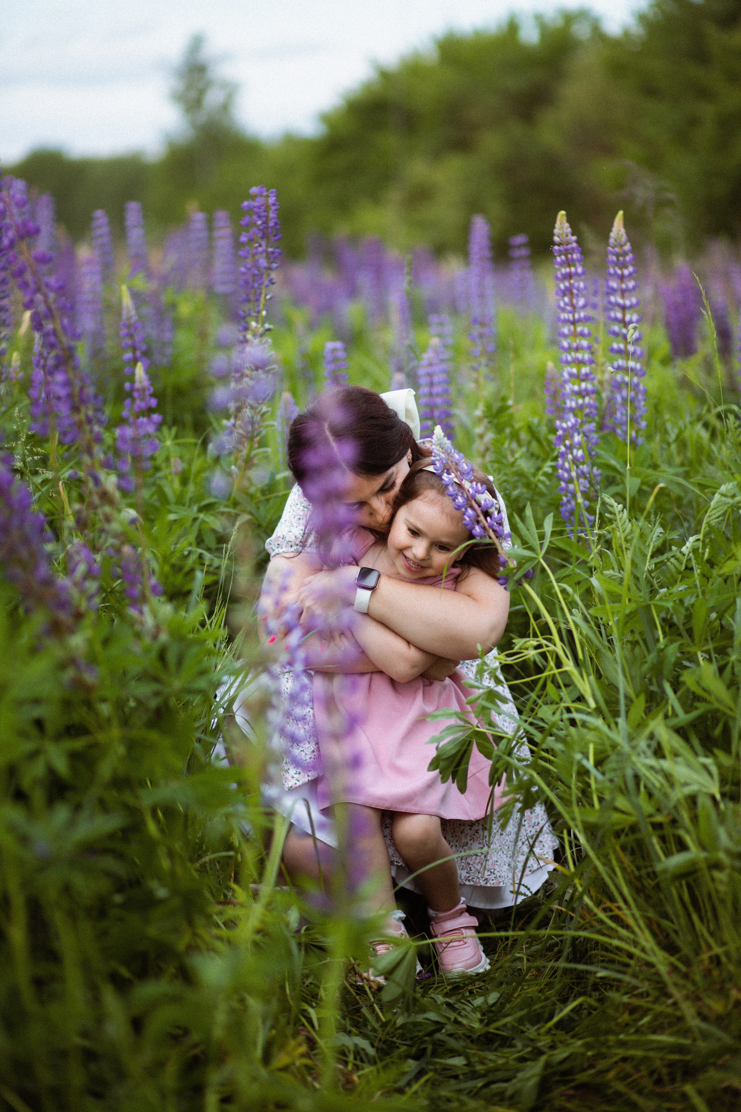 Июньские люпины. Фотограф в Москве/Санкт-Петербурге