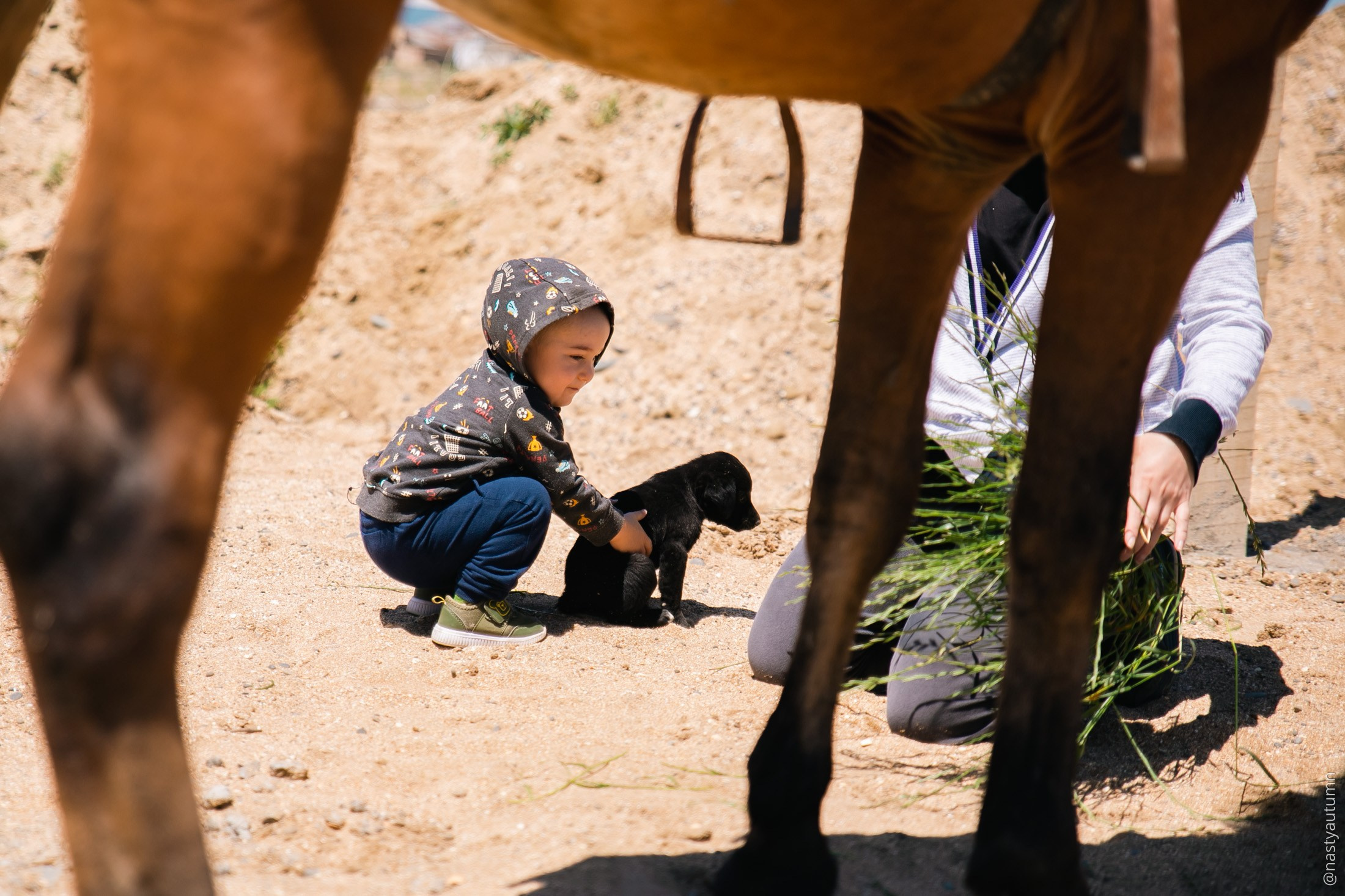 ПУТЕШЕСТВИЯ. Репортажный и концертный фотограф в Москве Анастасия Осень