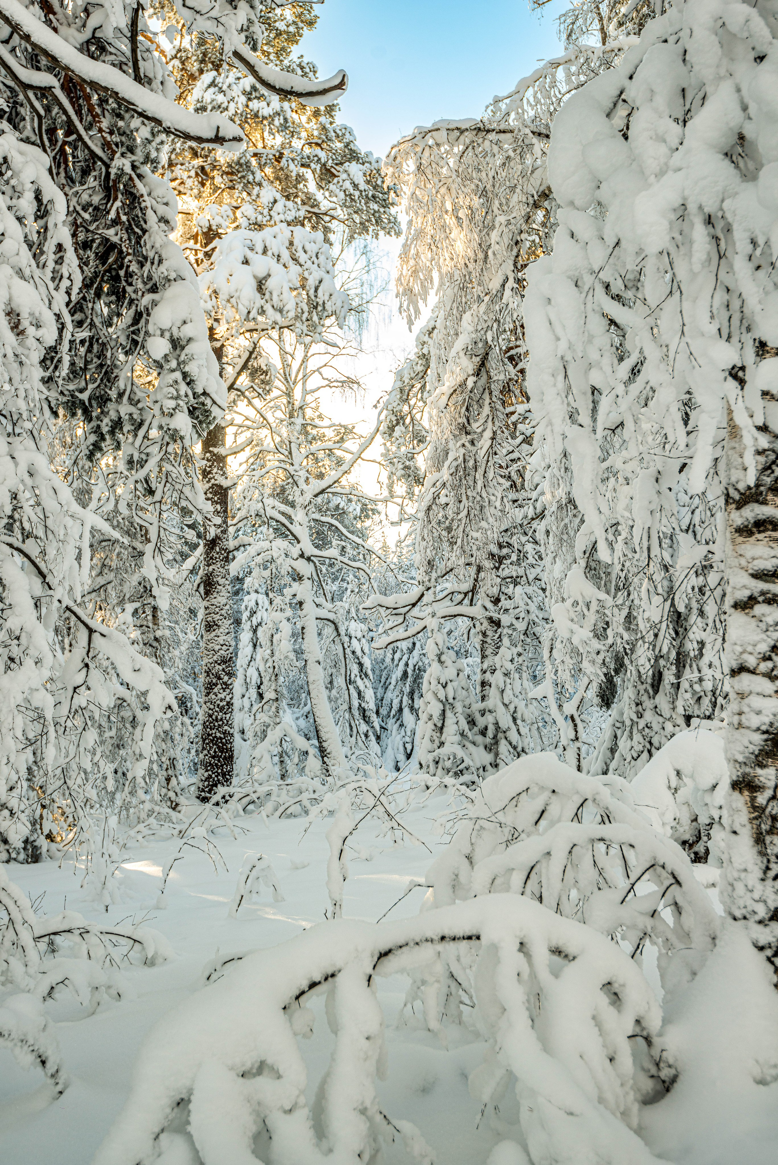 Таганай Семибратка, Парк Бажова, ледяной фонтан 06.01.2024. Свадебный фотограф на Урале Виктор Соколов