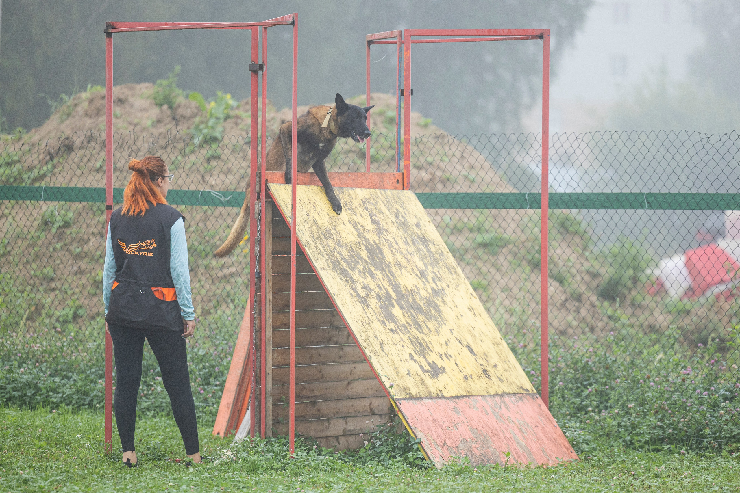 Соревнования по Мондьорингу г. Вологда 10-11.08.2024. Фотограф-анималист Анна Маринич