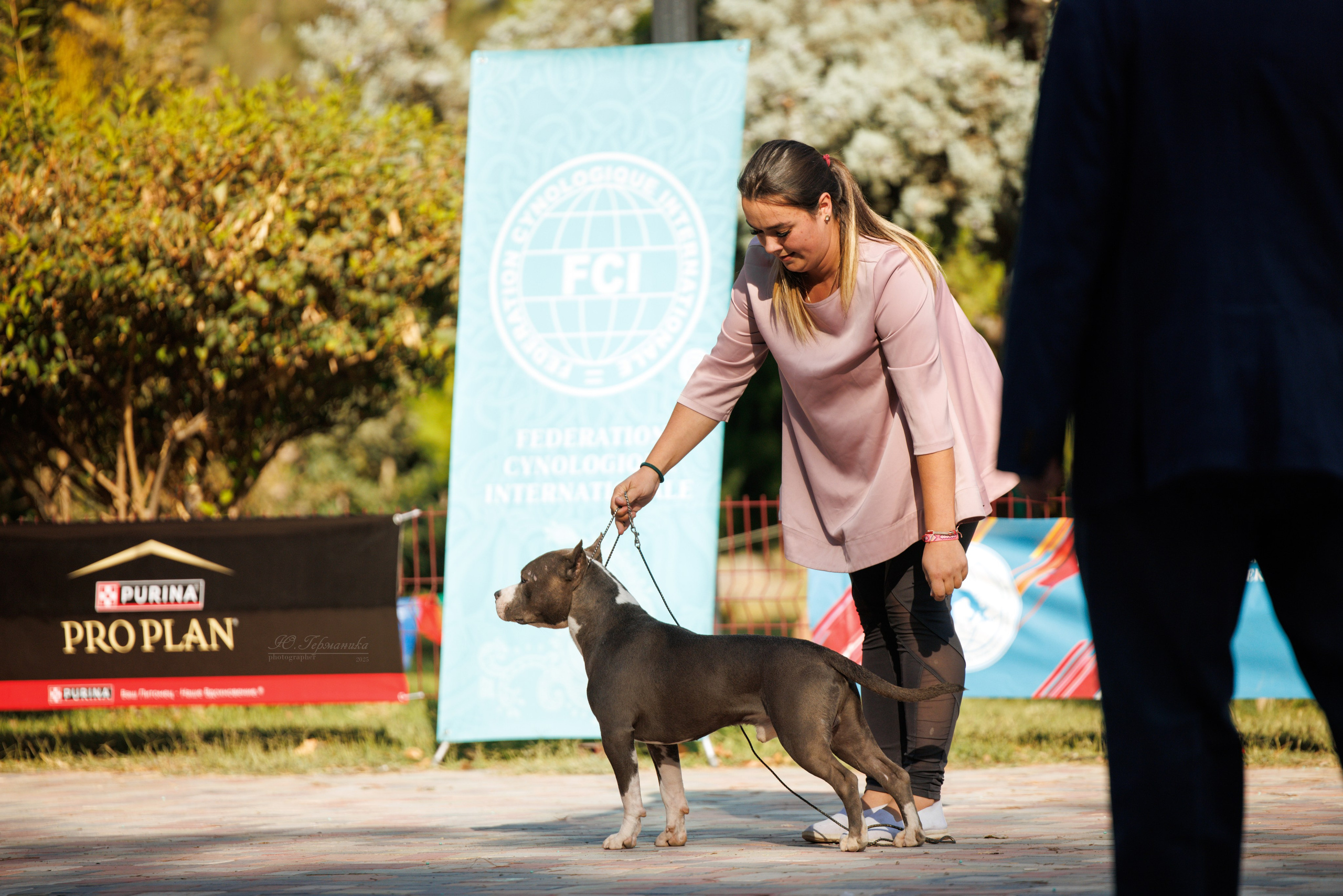 Ташкент 3хCACIB 3-5.10.2025. Фотограф-анималист Юлия Германика