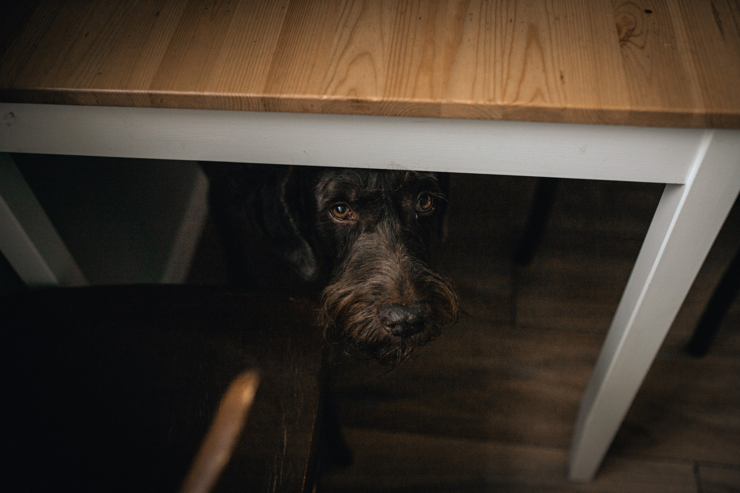 Домашние фотоссессии Всеволожск. Семейный и детский фотограф во Всеволосжке Людмила Квасова