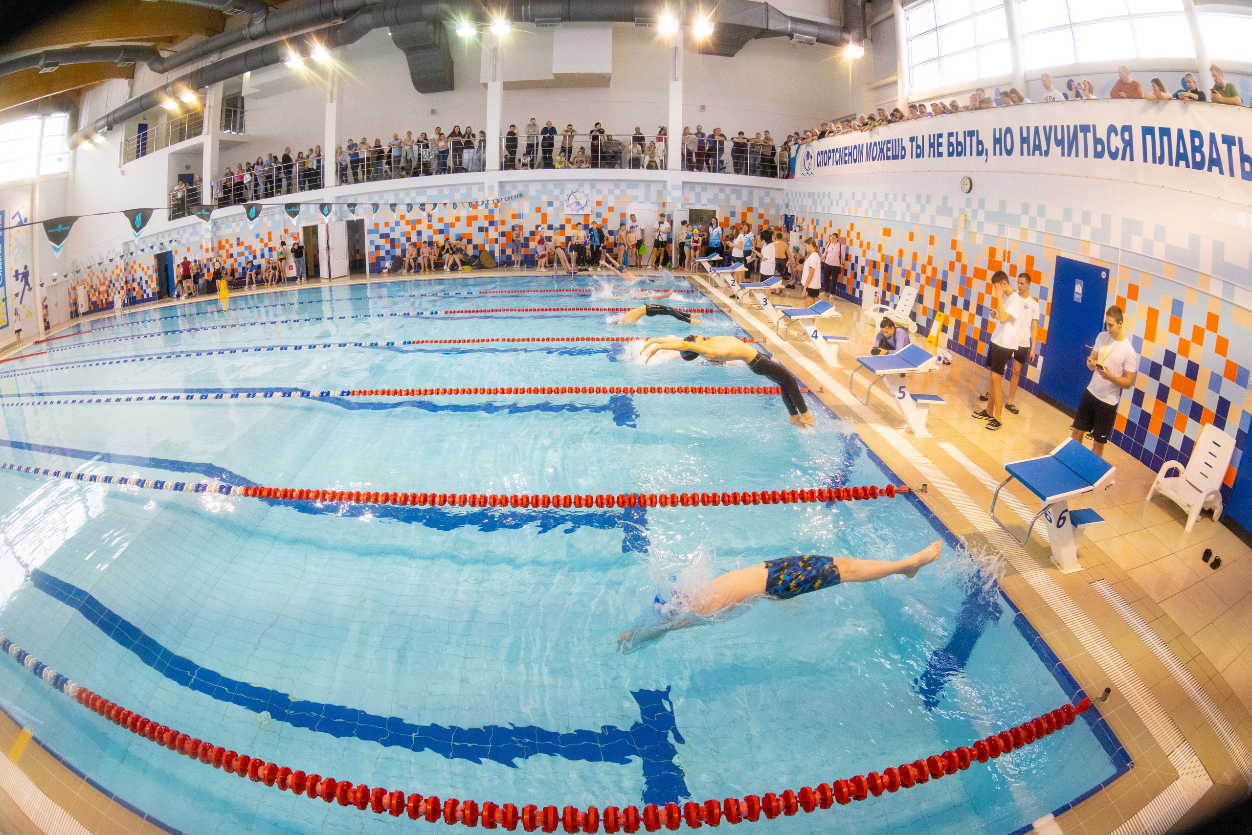 Плавание в ластах (разные годы, более 10 репортажей выборка пополняемая). Фотограф в Туле Крупский АнДРей. Фотостудия «КАДР71» в Туле