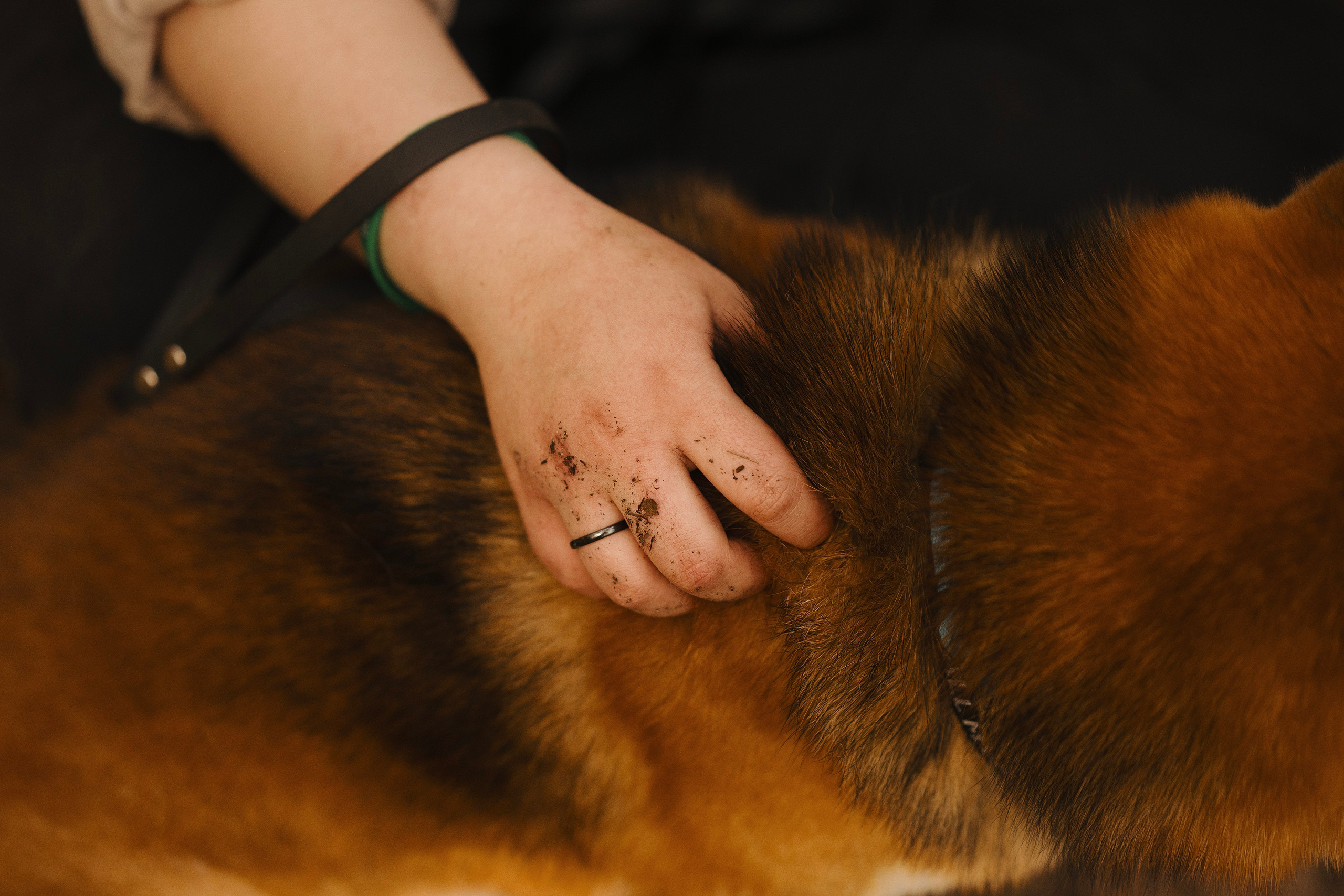 Юнки. Фотограф- анималист Александра Матвеева