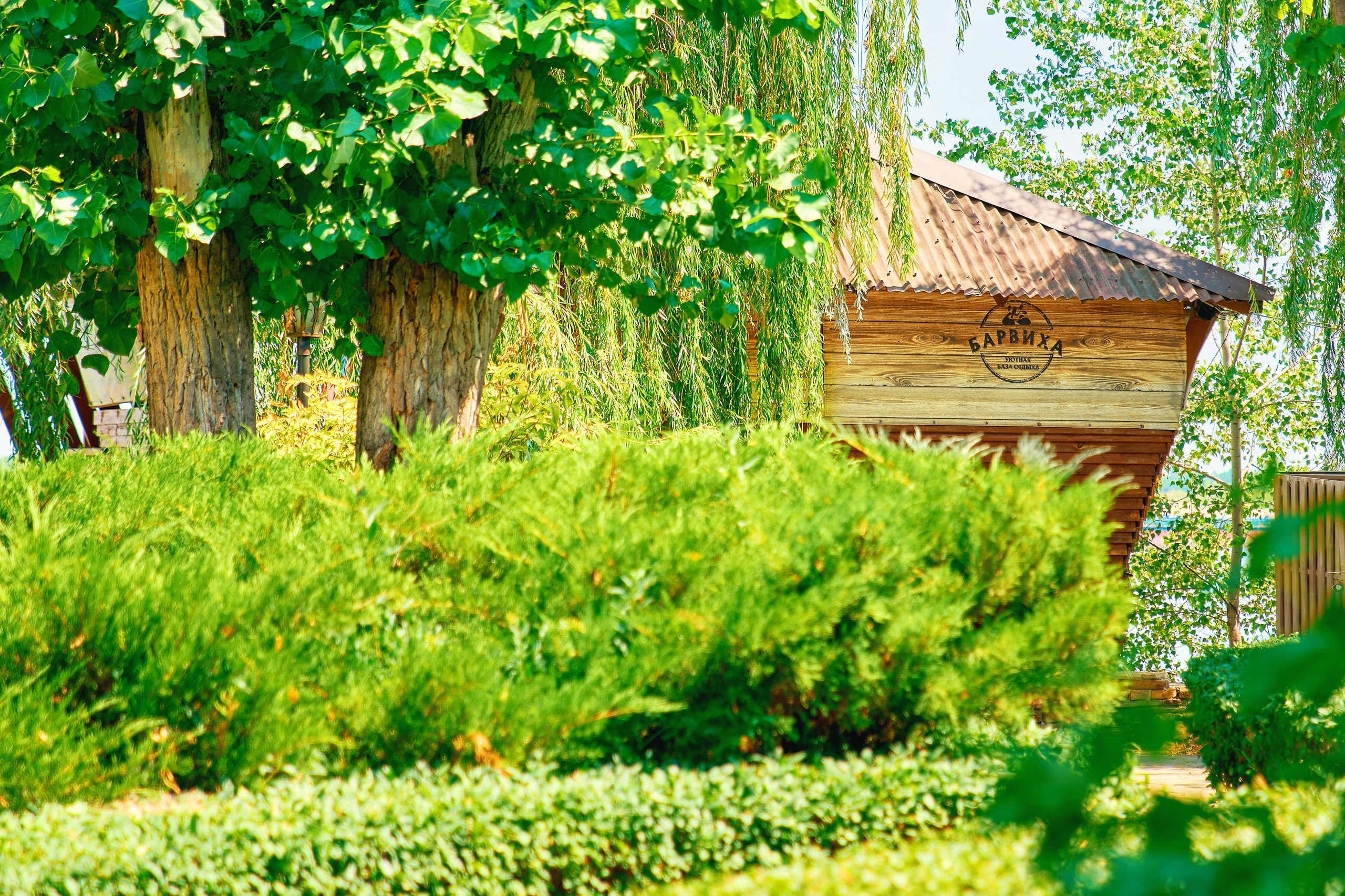 База отдыха Барвиха. Фотограф Никита Барановский