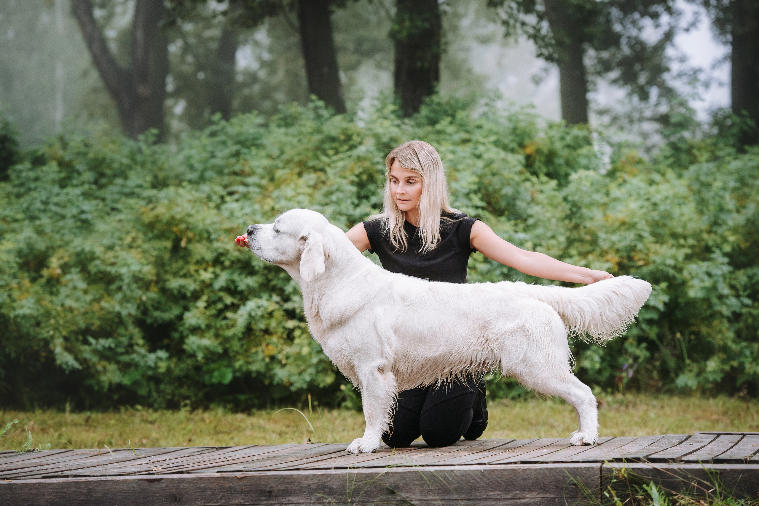 Собаки уличные. Фотограф Диана Оленина Красноярск / Братск