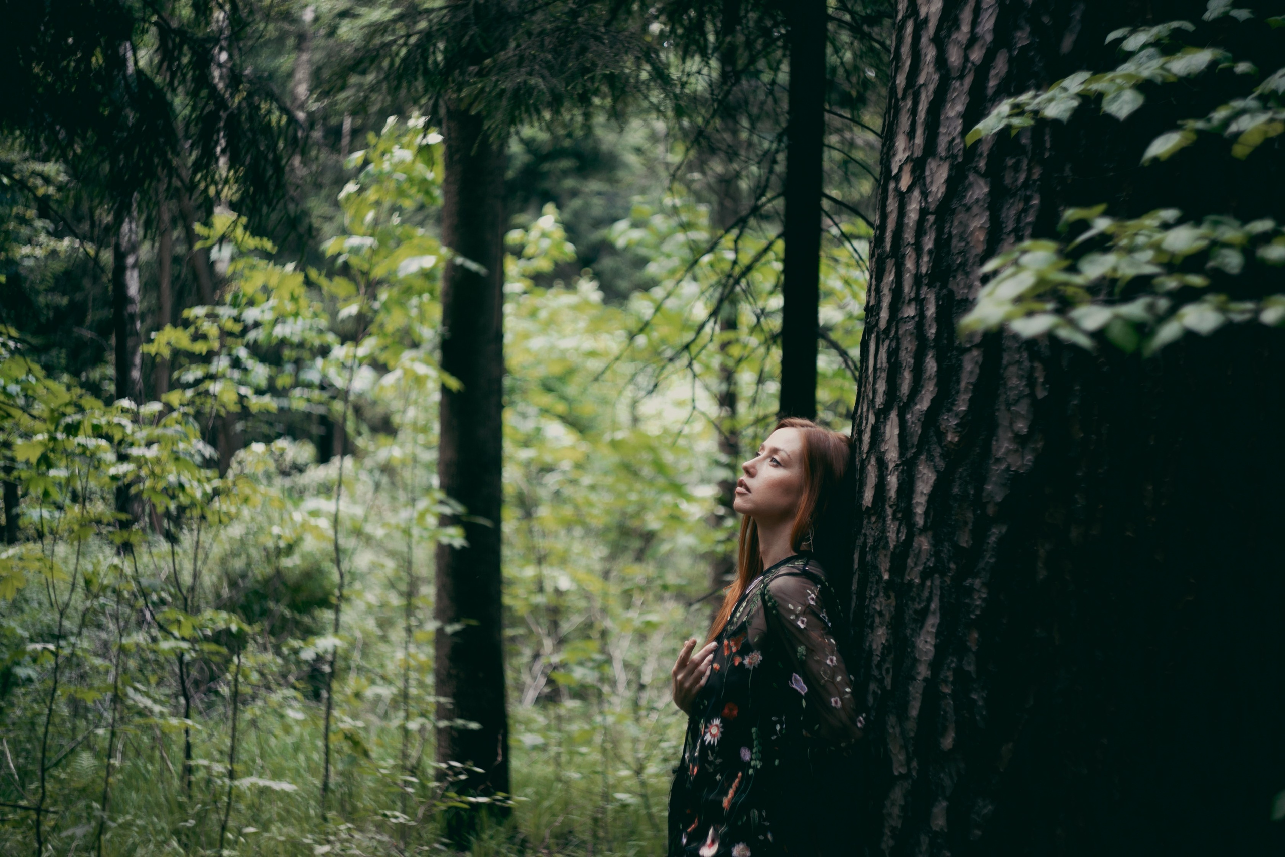 лесная съёмка, фото на природе