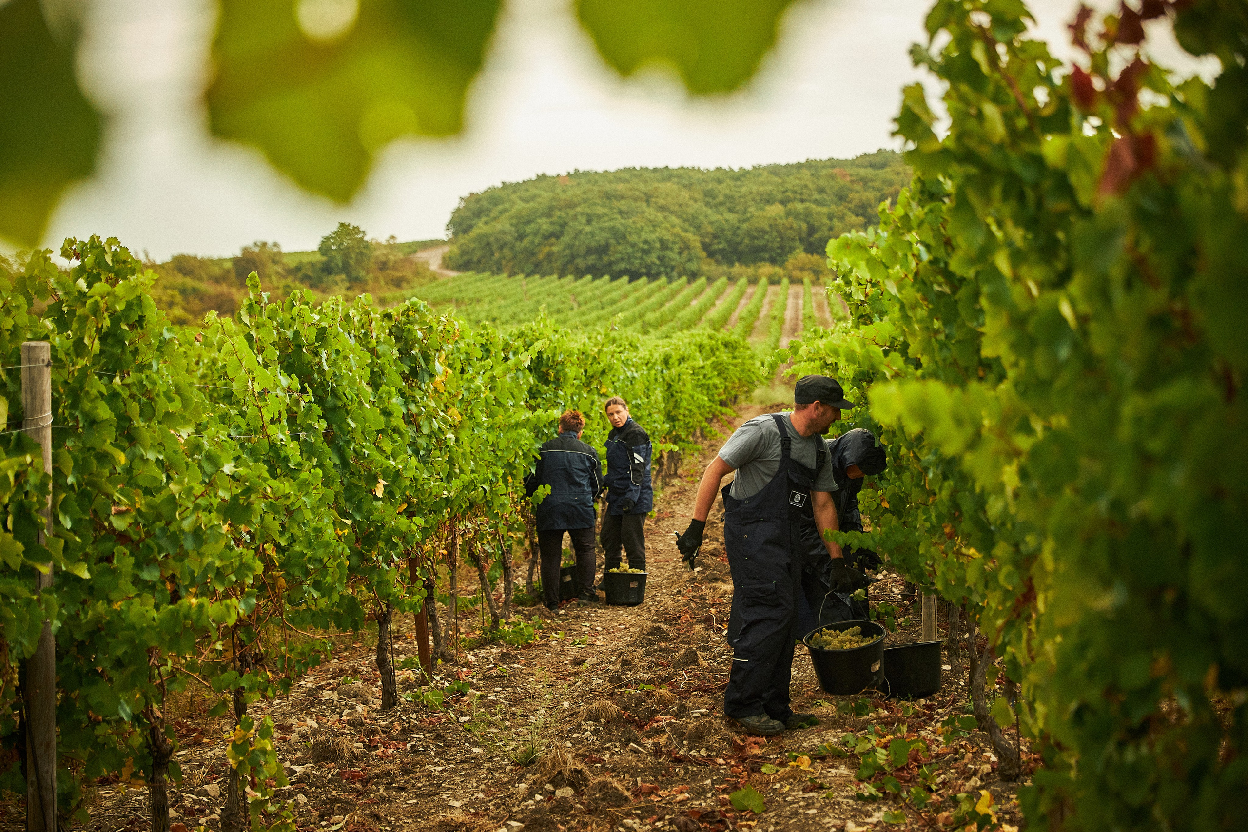 Galitsky & Galitsky. ПОЧЕМУ? СТУДИЯ