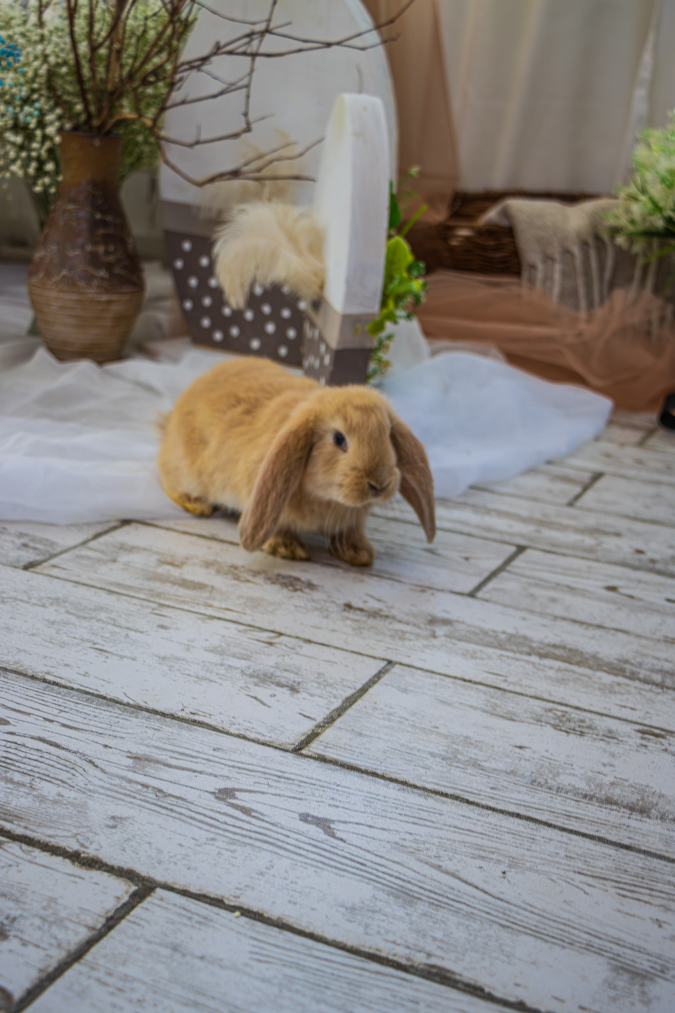 Пасхальные съемки BOUTIQUE. Фотограф Татьяна Матрос