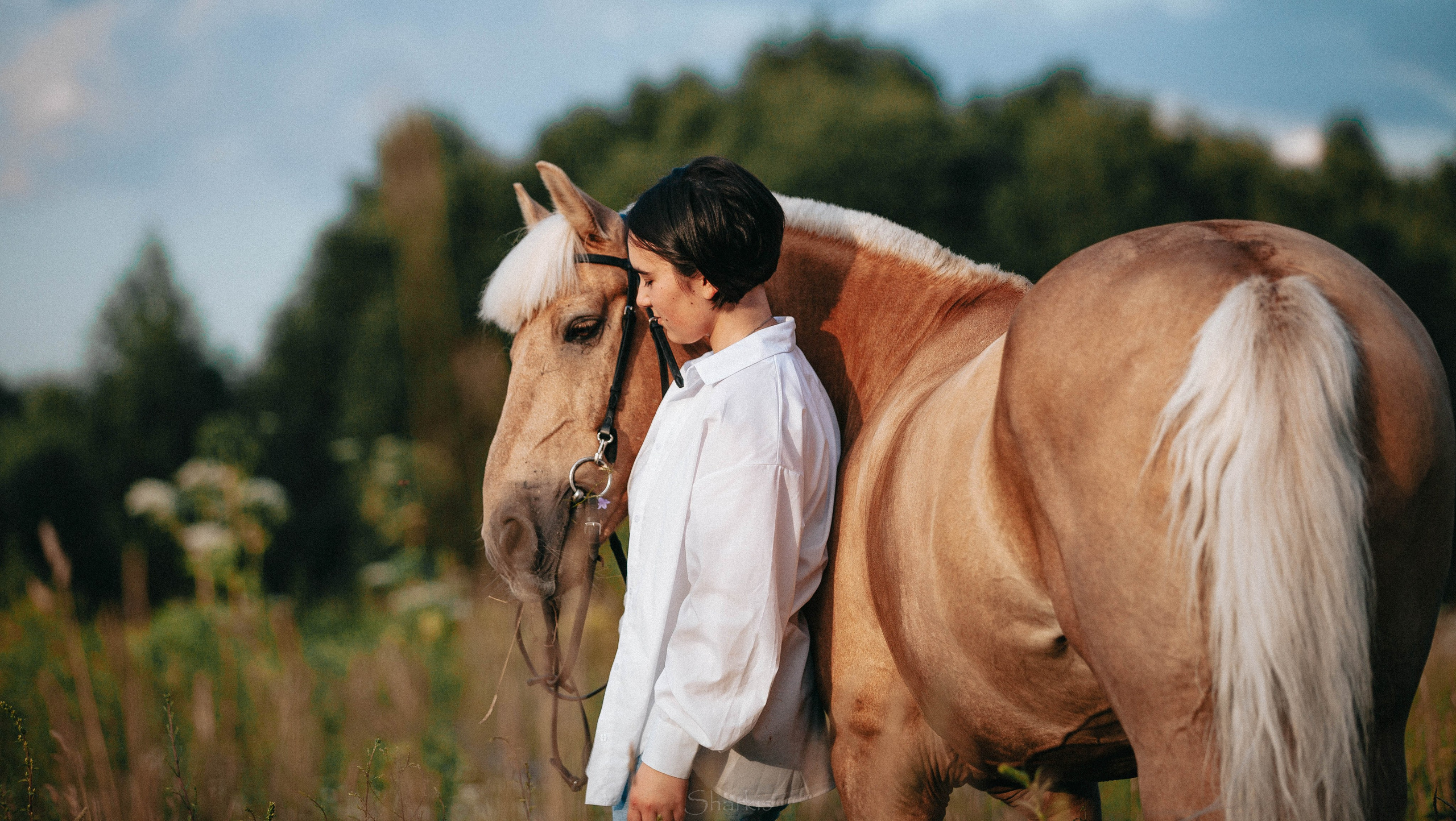 Алина и Гешефт. Главная