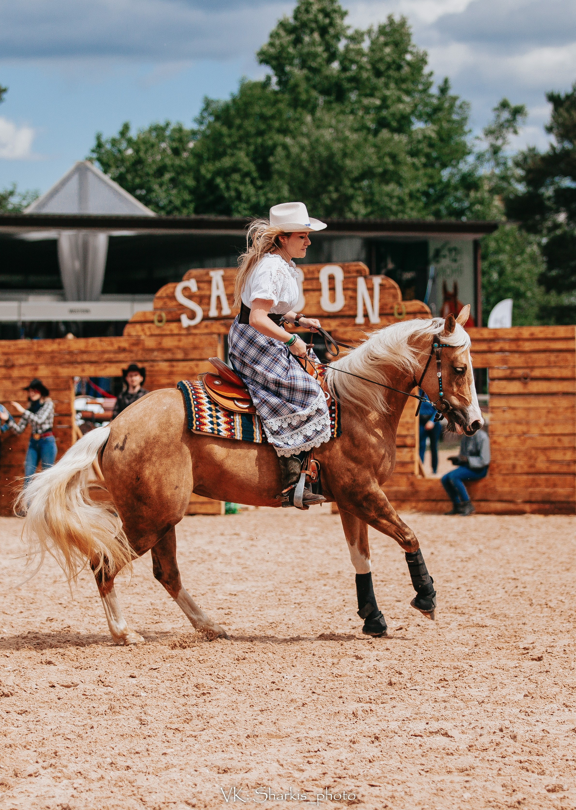 Лошади. Главная