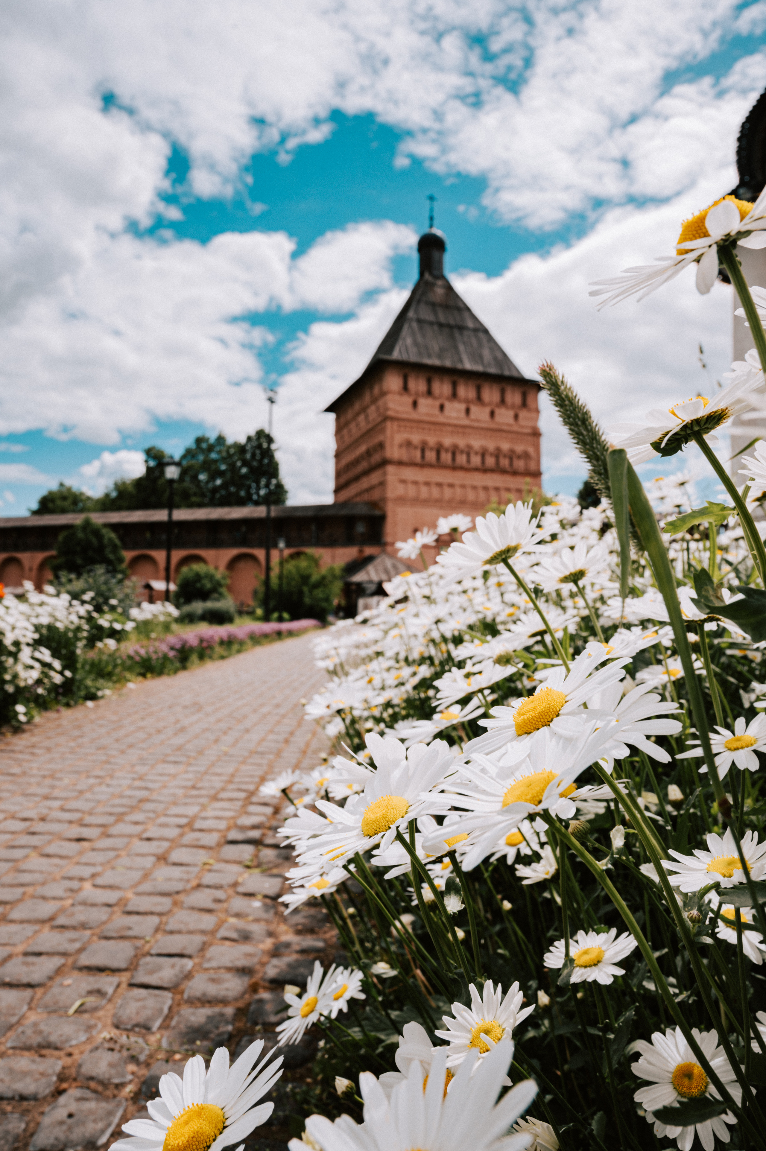 Прогулочная. Главная