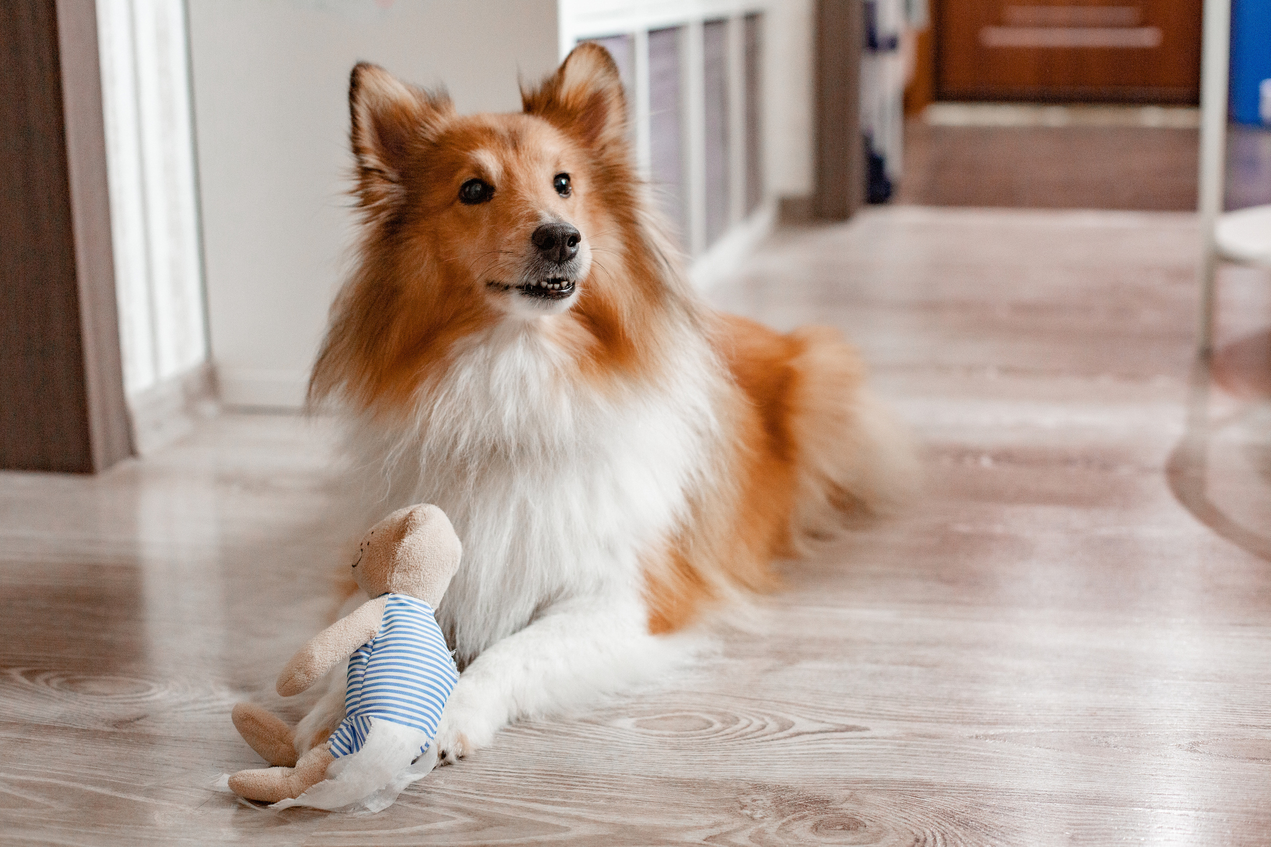 Семейная. Главная