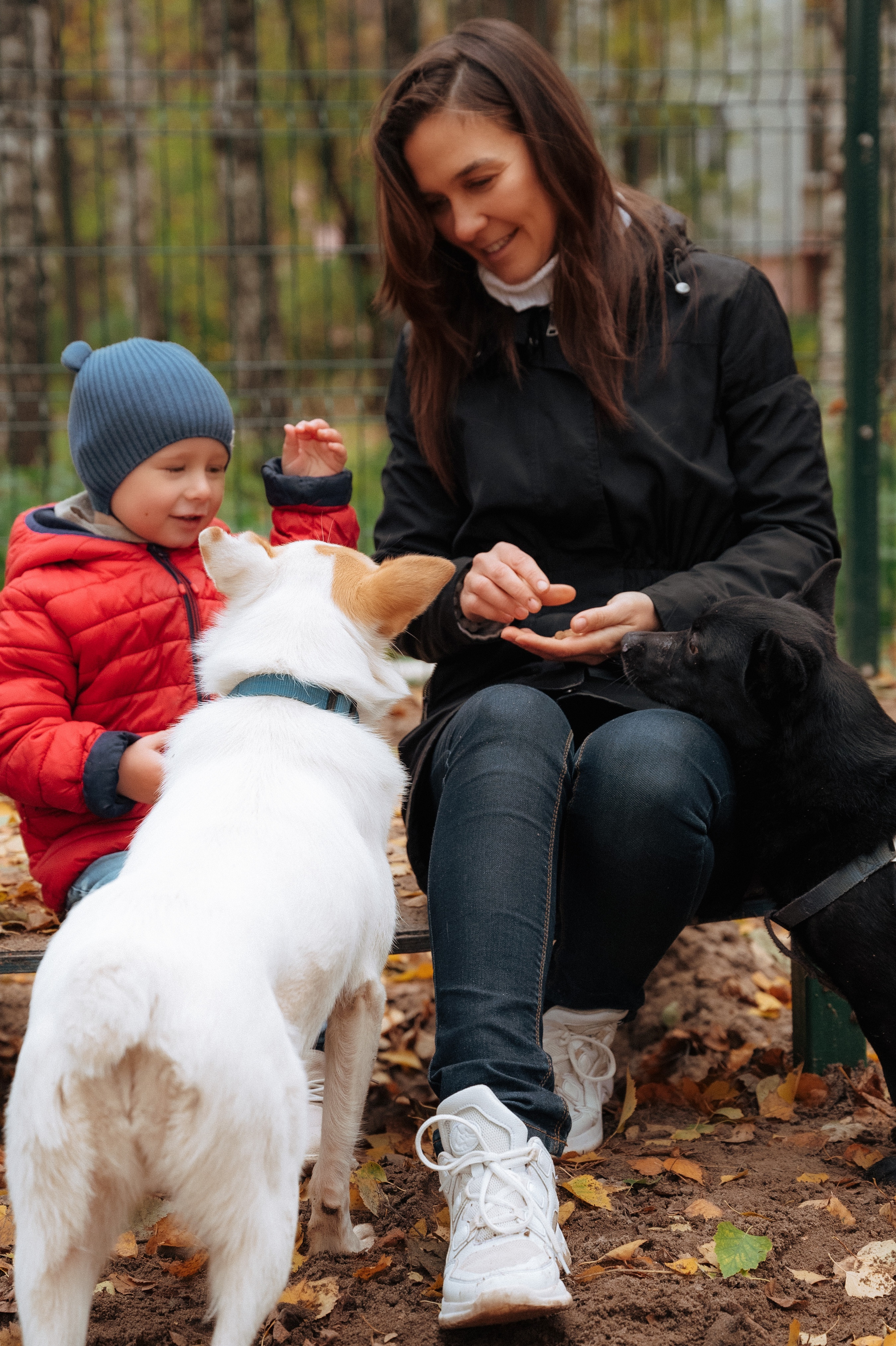 Прогулочная. Главная