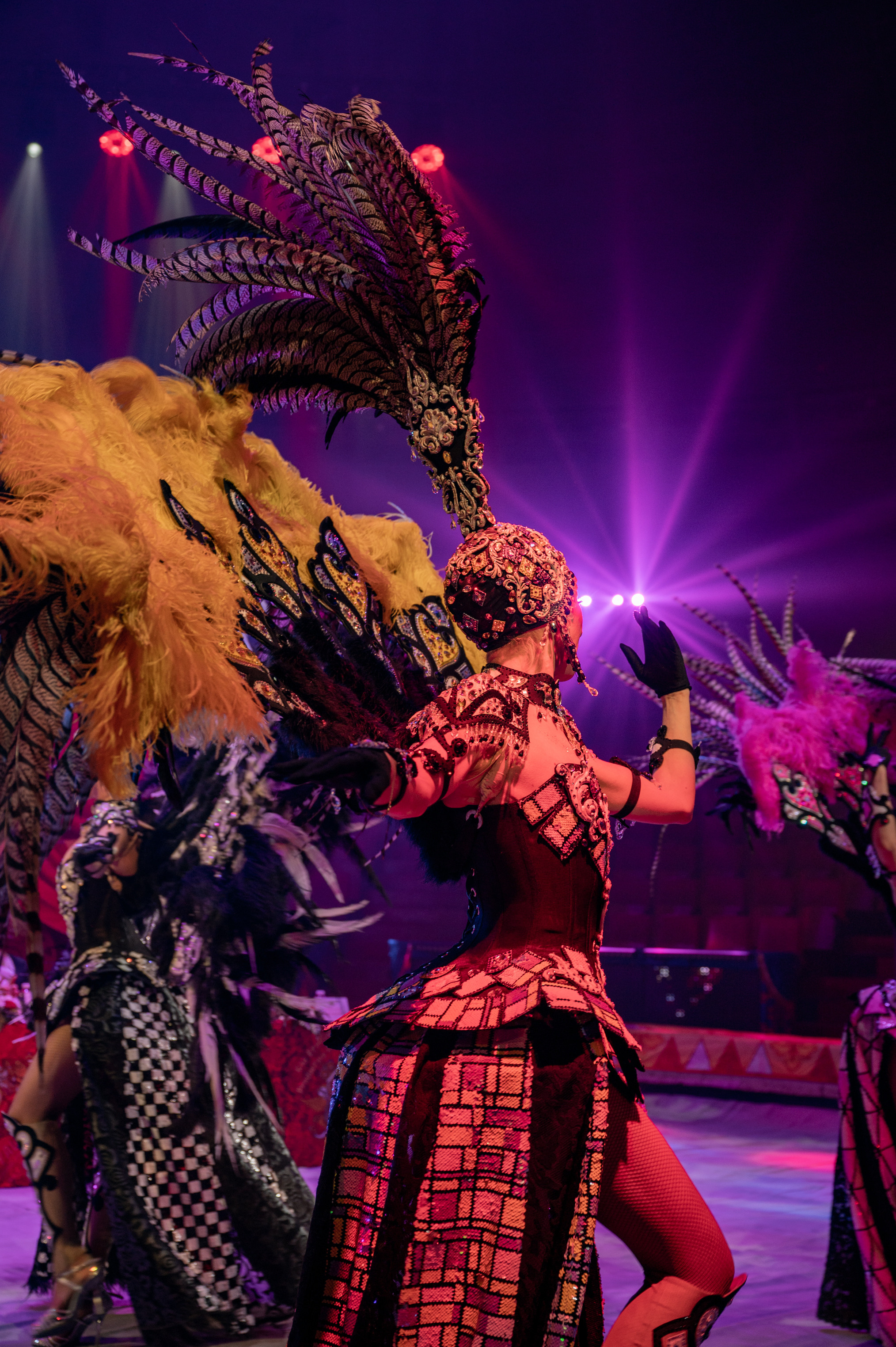 Цирк 🎪. Главная