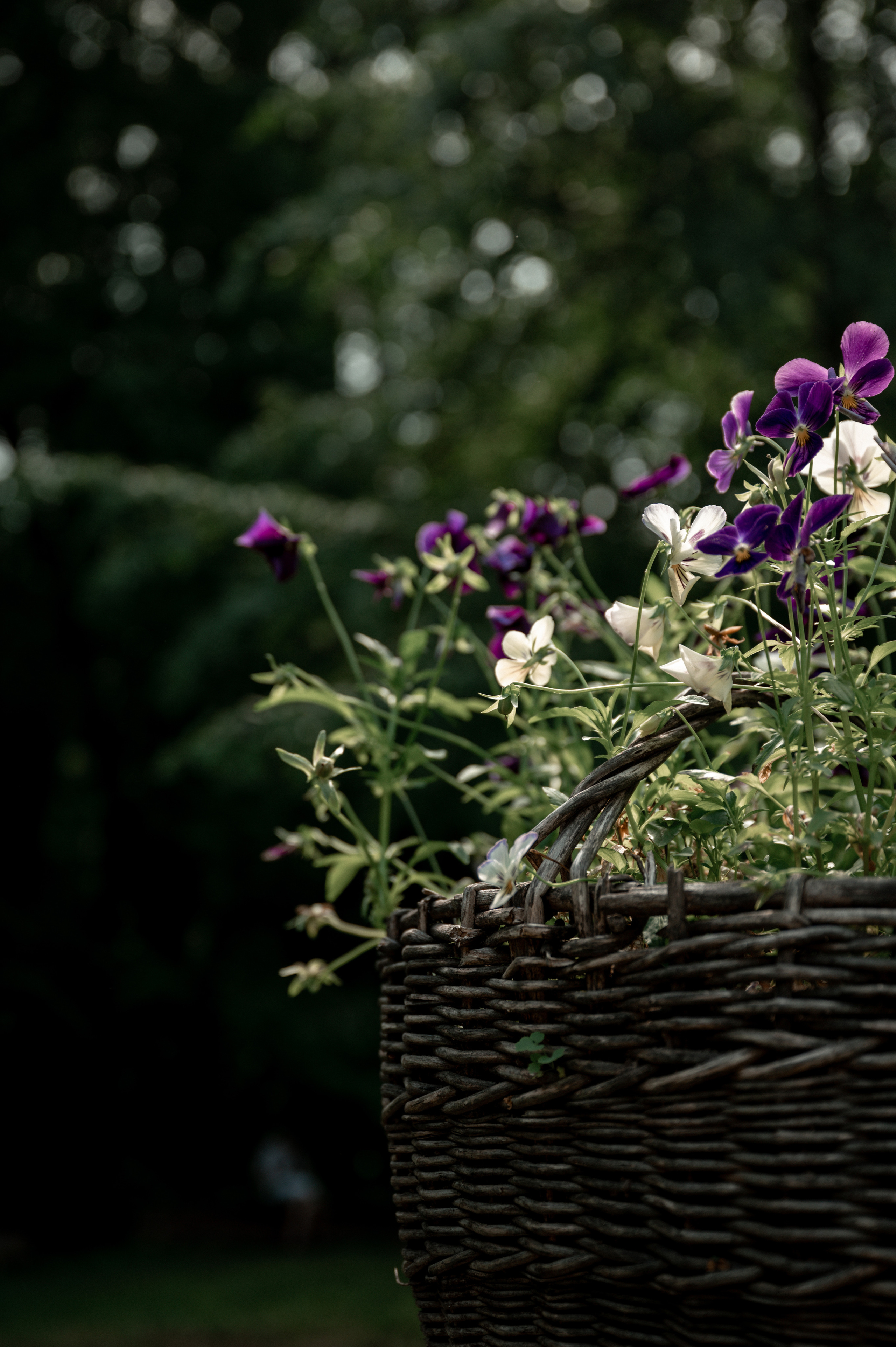 Репортажи. Главная