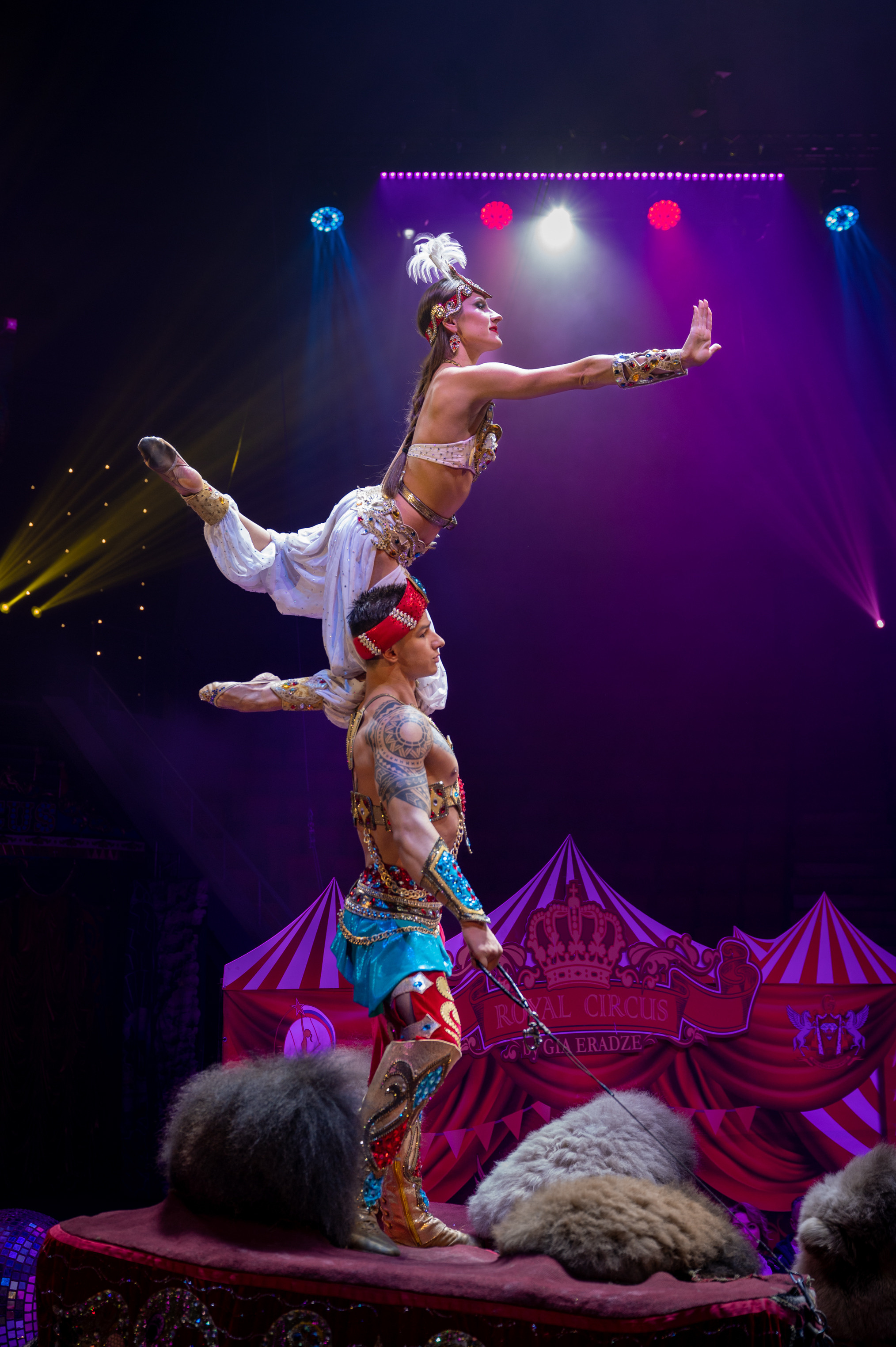 Цирк 🎪. Главная