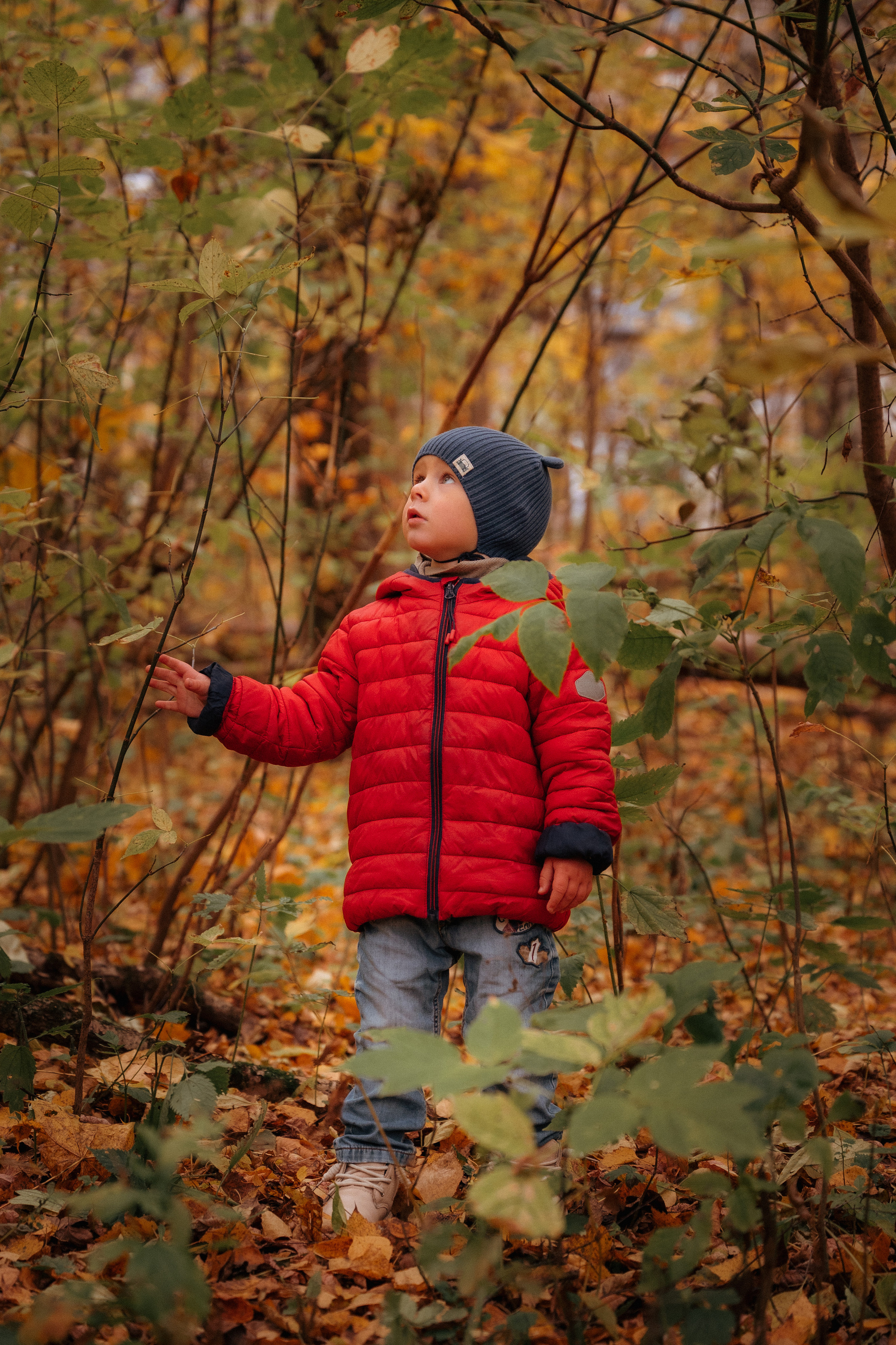 Прогулочная. Главная