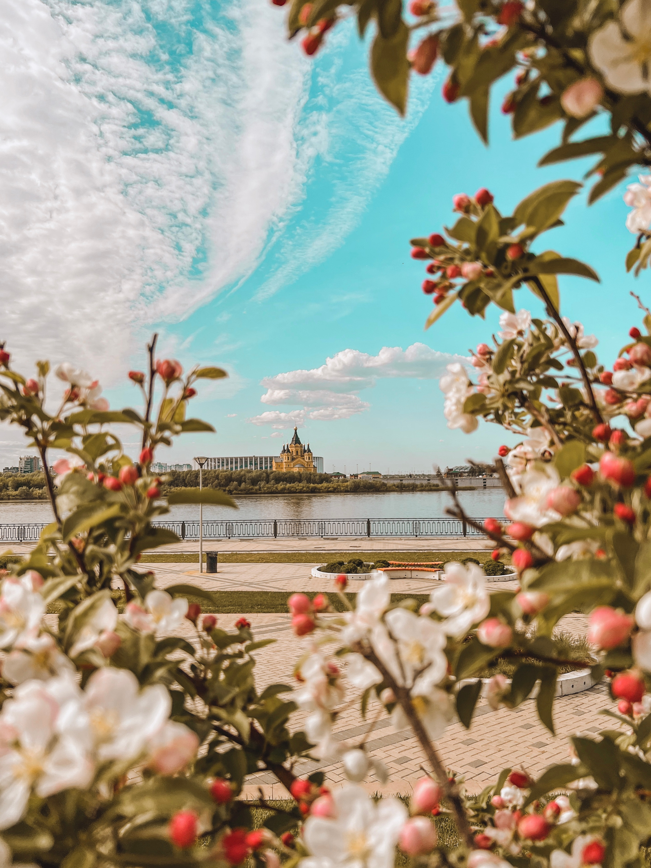 Прогулочная. Главная