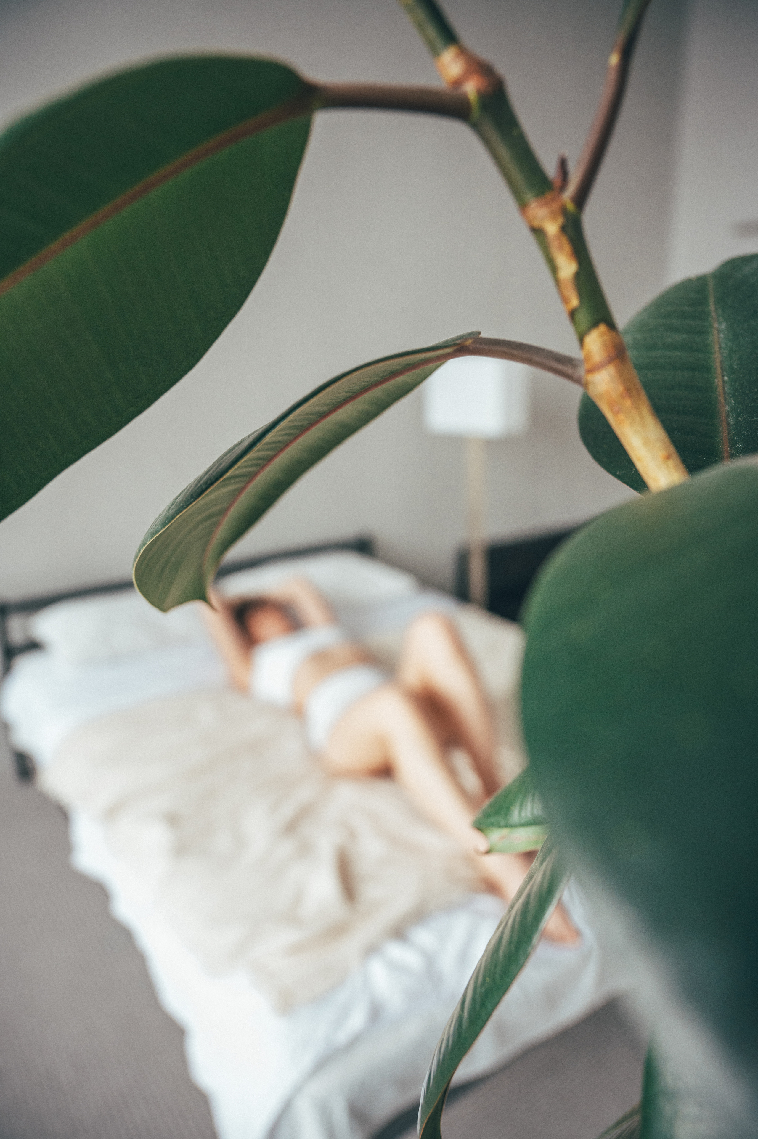 Индивидуальная. Главная