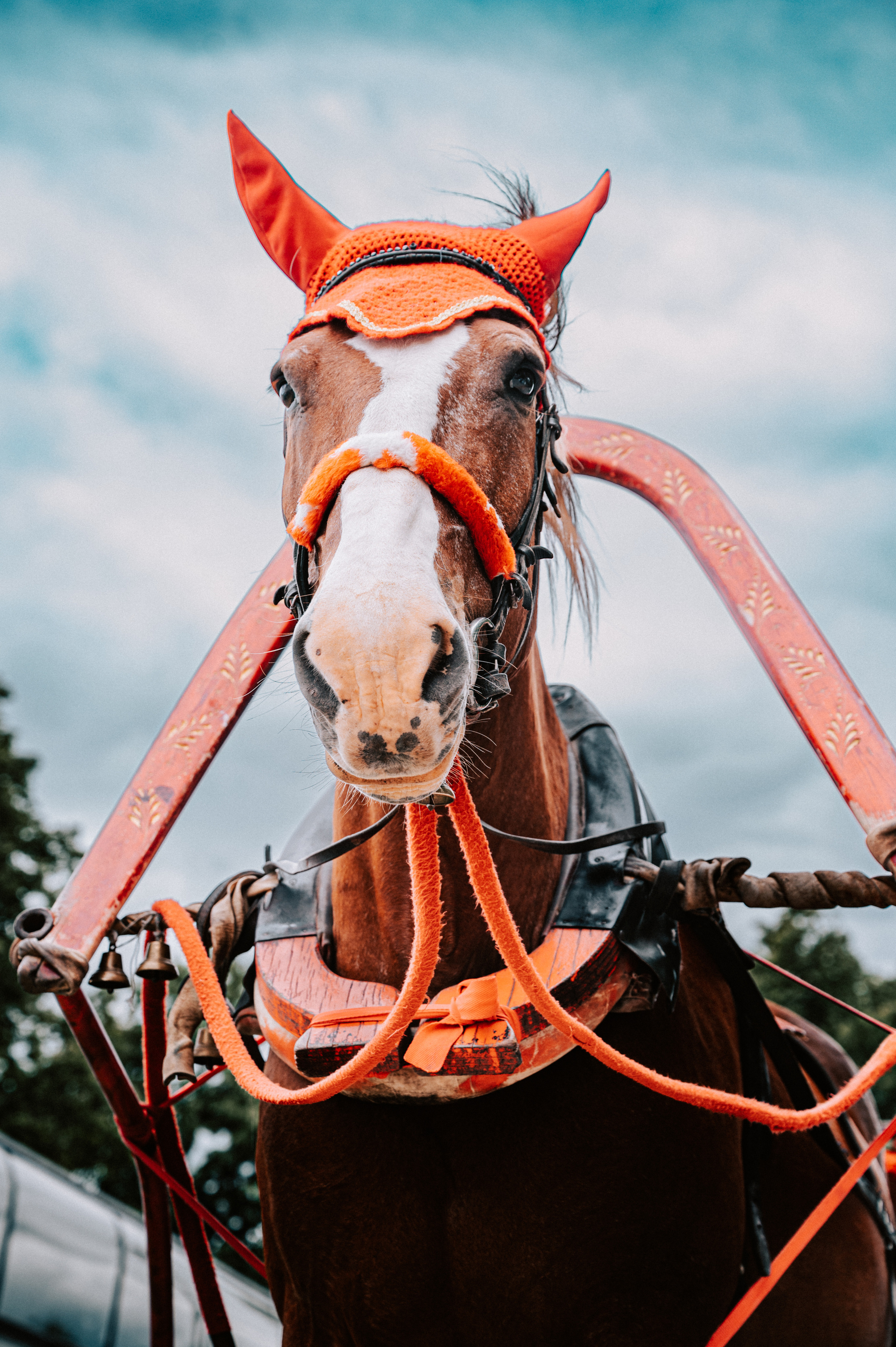 Прогулочная. Главная