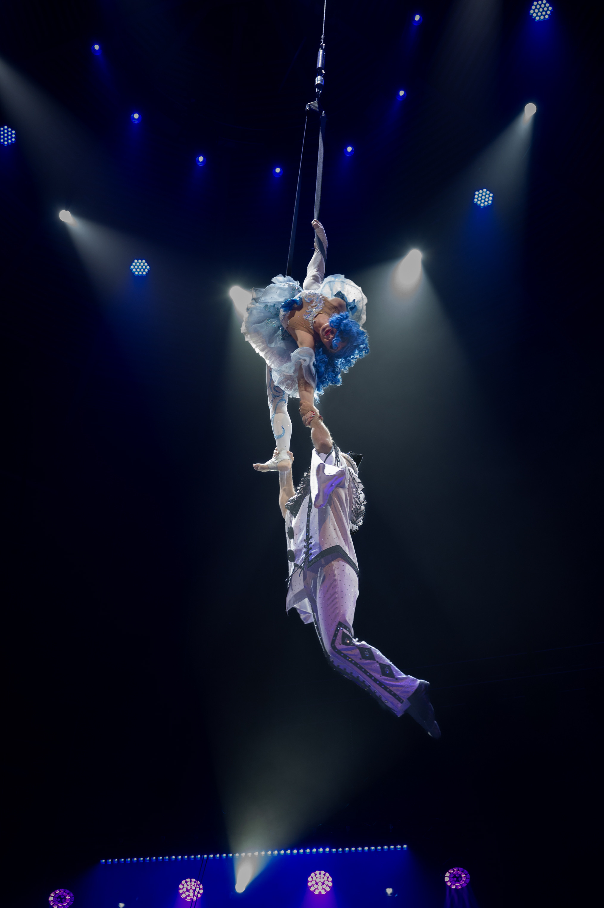 Цирк 🎪. Главная