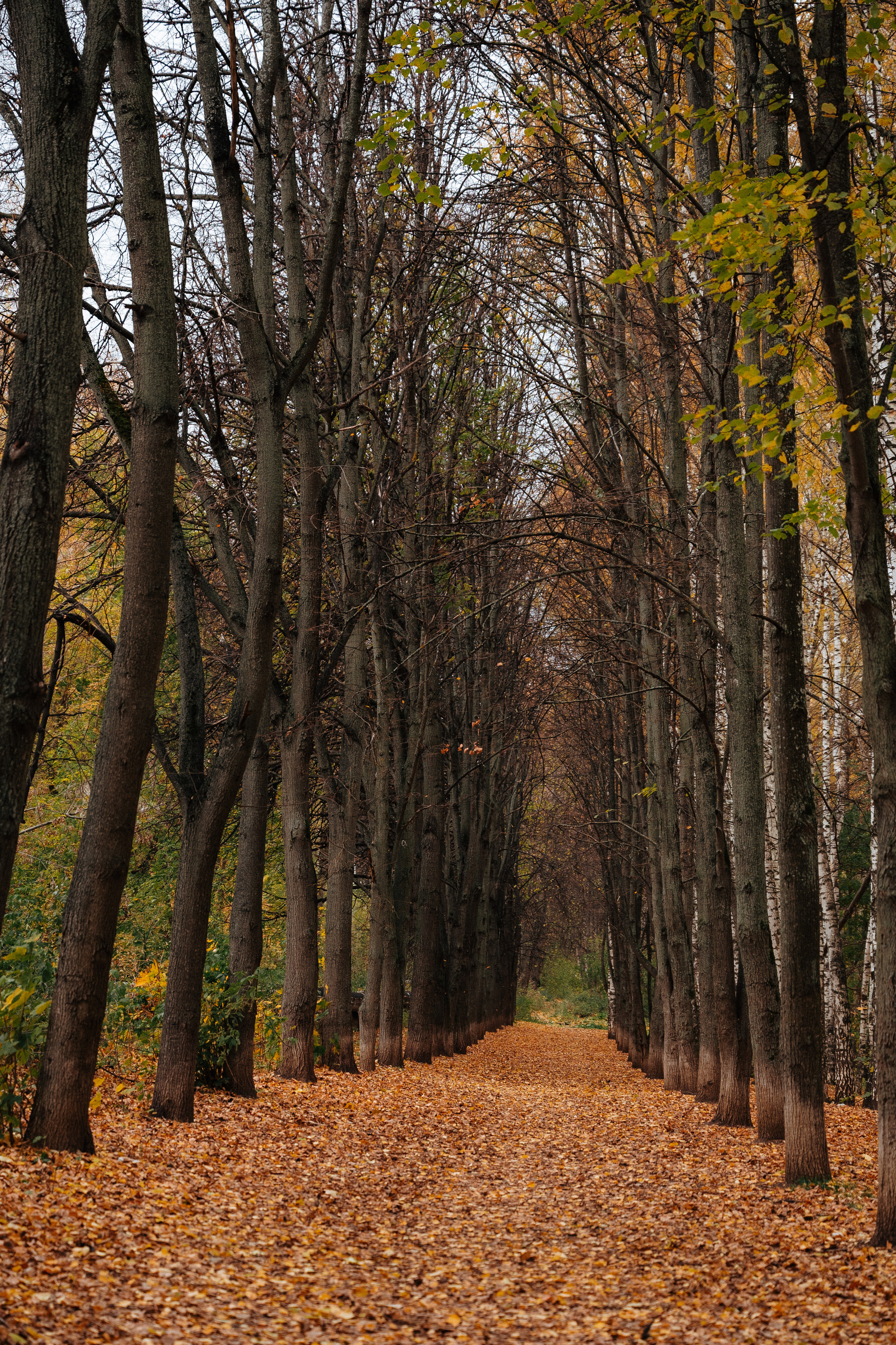 Прогулочная. Главная