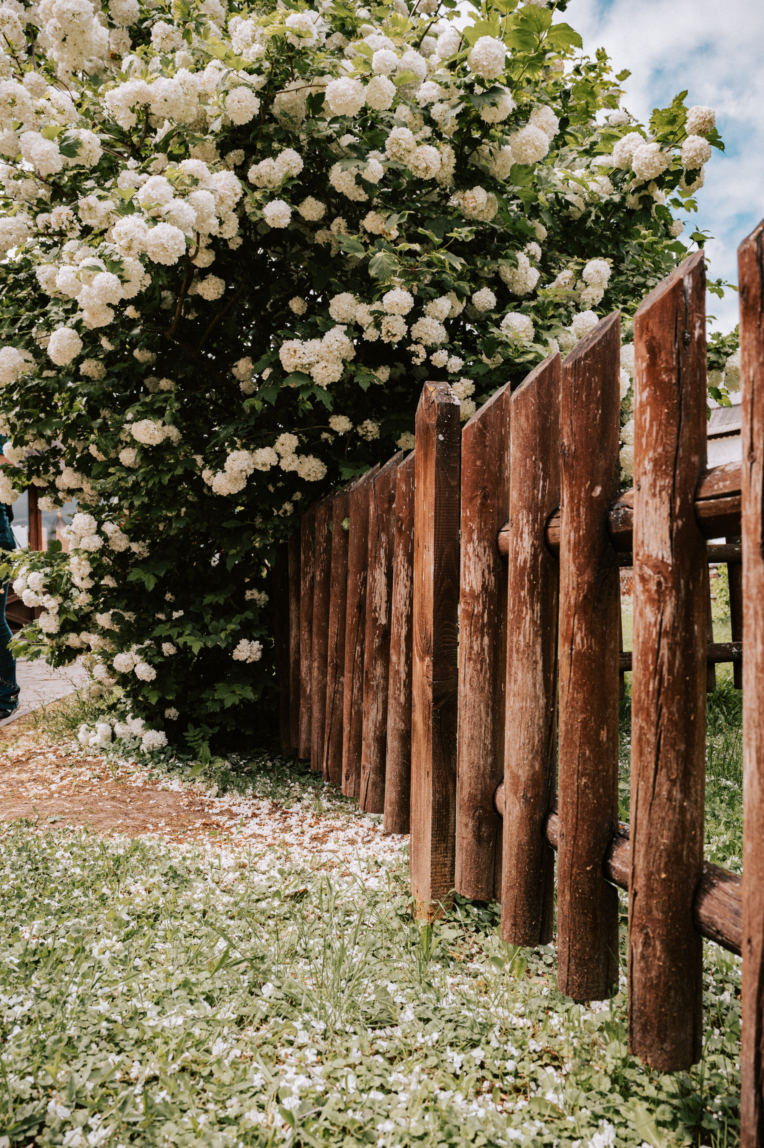 Прогулочная. Главная